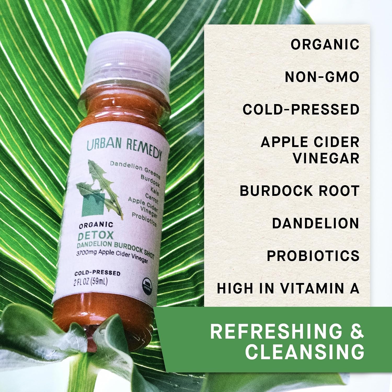 Organic Detox Shot – a 2 Fl Oz Plant-Based Wellness Boost with Apple Cider Vinegar, Dandelion, Burdock, and Probiotics for Digestion and Detox. Vegan and No Added Sugar.