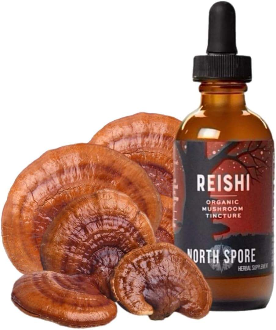 Organic Reishi Mushroom Tincture (2 Oz) | 100% Fruiting Body Extracts | Immune Support, Brain Support | Certified Organic, Vegan, Non-Gmo | Adaptogenic, Nootropic | Made in USA
