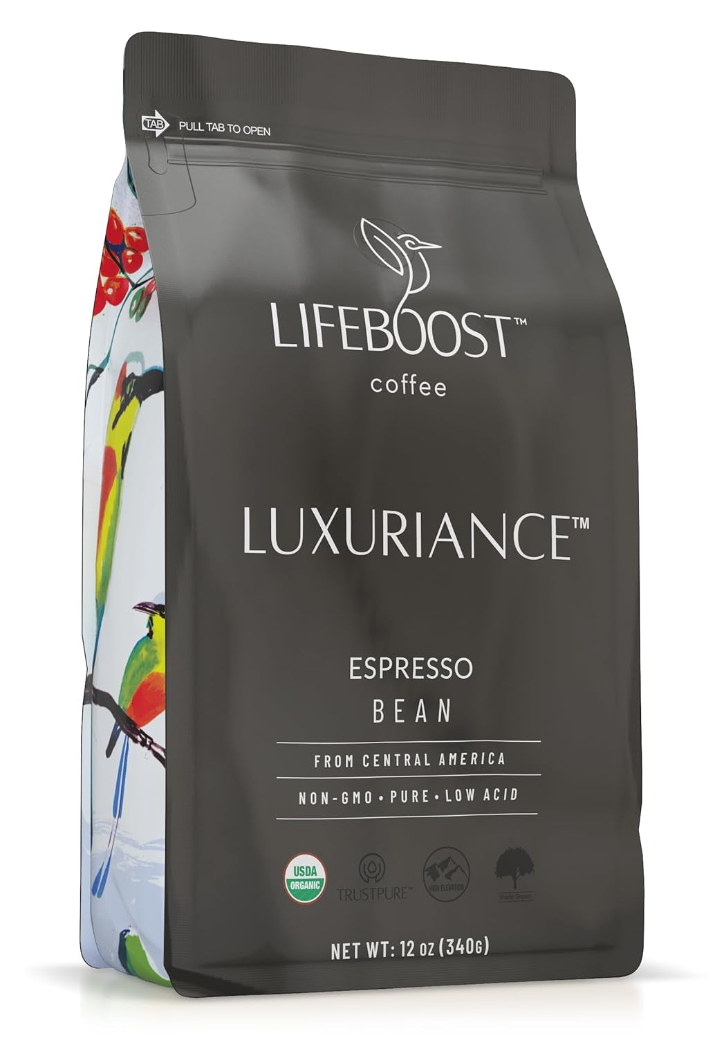Organic Espresso Whole Bean Coffee - Low Acid Espresso Coffee, Non-Gmo, USDA Organic, Single Origin, Third-Party Tested for Mycotoxins & Pesticides - 12 Oz Bag