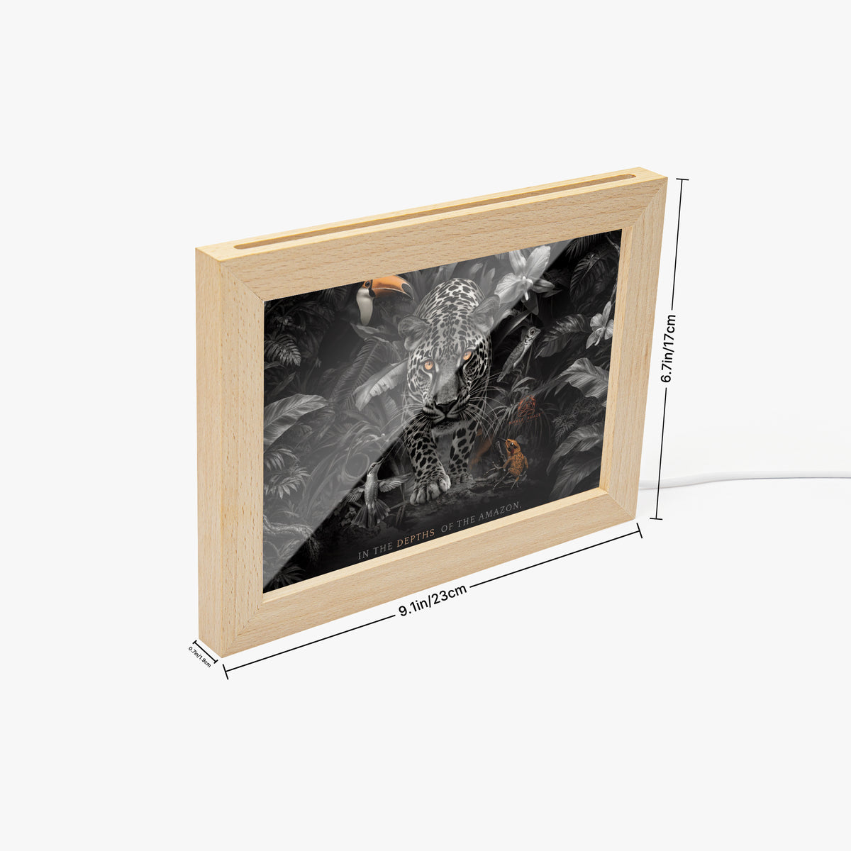 https://jetprint-hkoss.oss-accelerate.aliyuncs.com/merchantUpload/69668/1181d7bc83b24361b81c1604cb0c9ebf.jpg