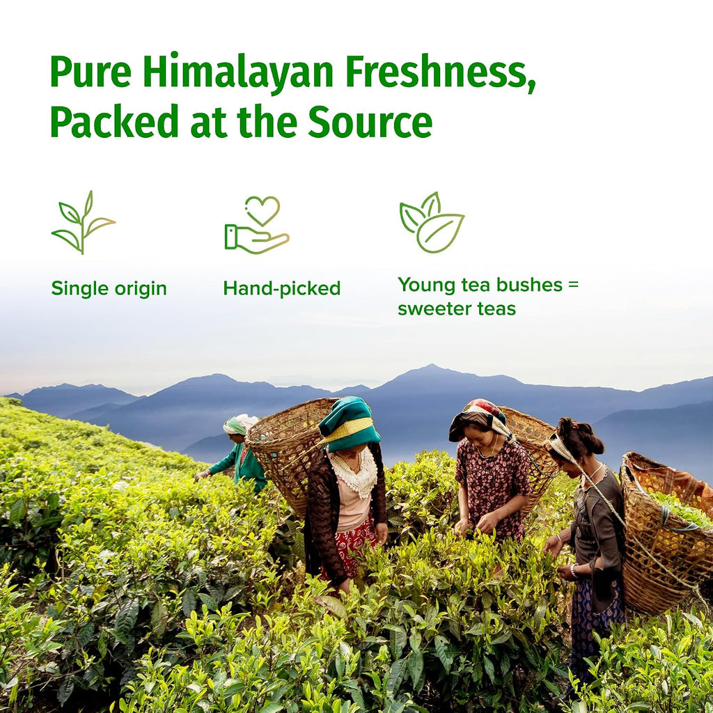 Organic Green Tea Loose Leaf - from a Family Farm in the Himalayas - Award-Winning Premium Green Tea Leaves Loose Leaf - 3.5Oz /100G (Ganesha Green)