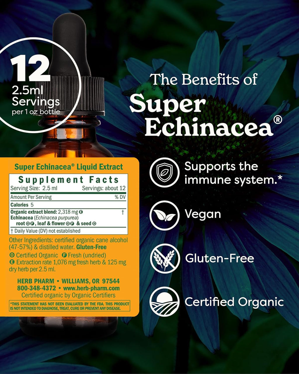 Super Echinacea® Liquid Extract: USDA Organic Immune Support for Year-Round | Fast-Absorbing Echinacea Tincture, 4 Plant-Part Blend: Root, Leaf, Flower & Seed | up to ~3 Week Supply, 1 Oz*