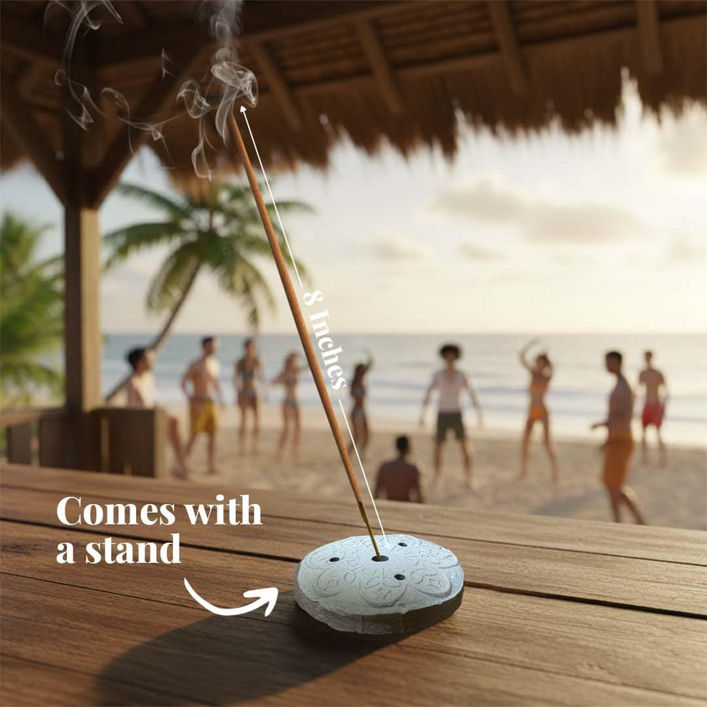 Incense Sticks with Holder (100 Sticks)| Tropical Summer Vibes Incense for Aromatherapy, Meditation, Yoga | No Charcoal, Non Toxic, Long Burning Hawaii Inspired Beach Scent Insence-Sticks