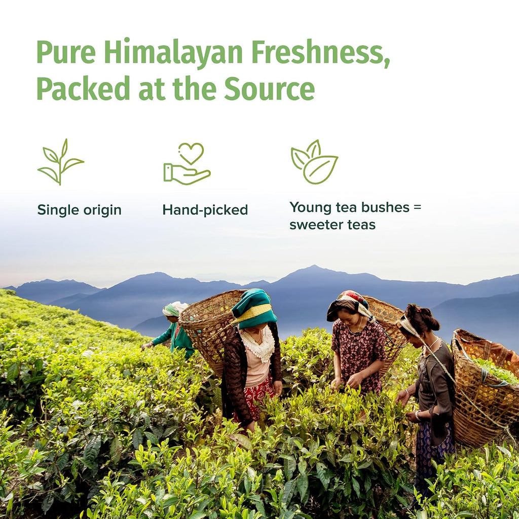 Organic Green Tea Loose Leaf - Premium USDA Certified Organic Loose Leaf Tea - Single Origin from Award Winning Family Farm in the Himalayas - 3.5Oz / 100G (Himalayan Mist)