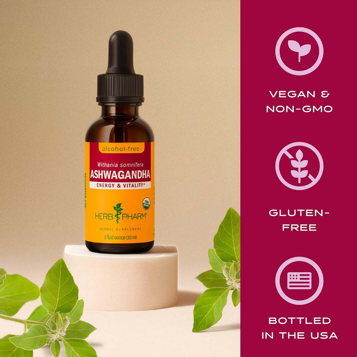 Ashwagandha, Alcohol Free: Liquid Extract, USDA Organic | Traditional Stress Support Supplement, Ashwagandha Root Glycerite, Tasty Adaptogen Extract for Adults | up to 6 Week Supply, 2 Oz*