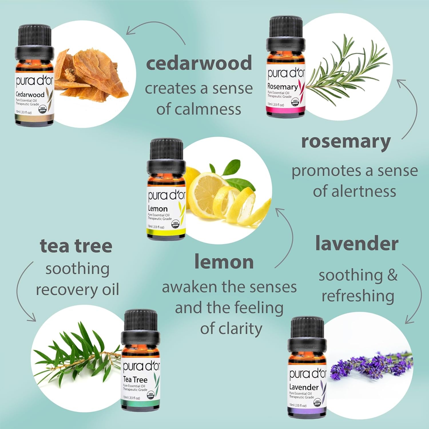 Organic Perfect10 Essential Oils Set - 10X 10Ml Wood Box Aromatherapy Gift Set - 100% Pure Therapeutic Grade for Relaxation and Wellness (Lavender, Peppermint, Eucalyptus, Tea Tree & More)