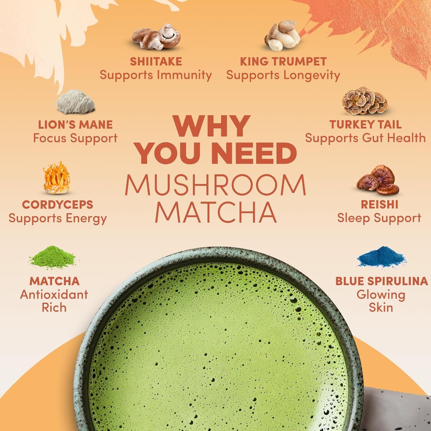 All Day Energy Bundle with Mushroom Medium Roast Coffee + Mushroom Matcha, USDA Organic with 6 Adaptogenic Mushrooms + Matcha for Better Energy, Focus, Digestion 30+30 Serving