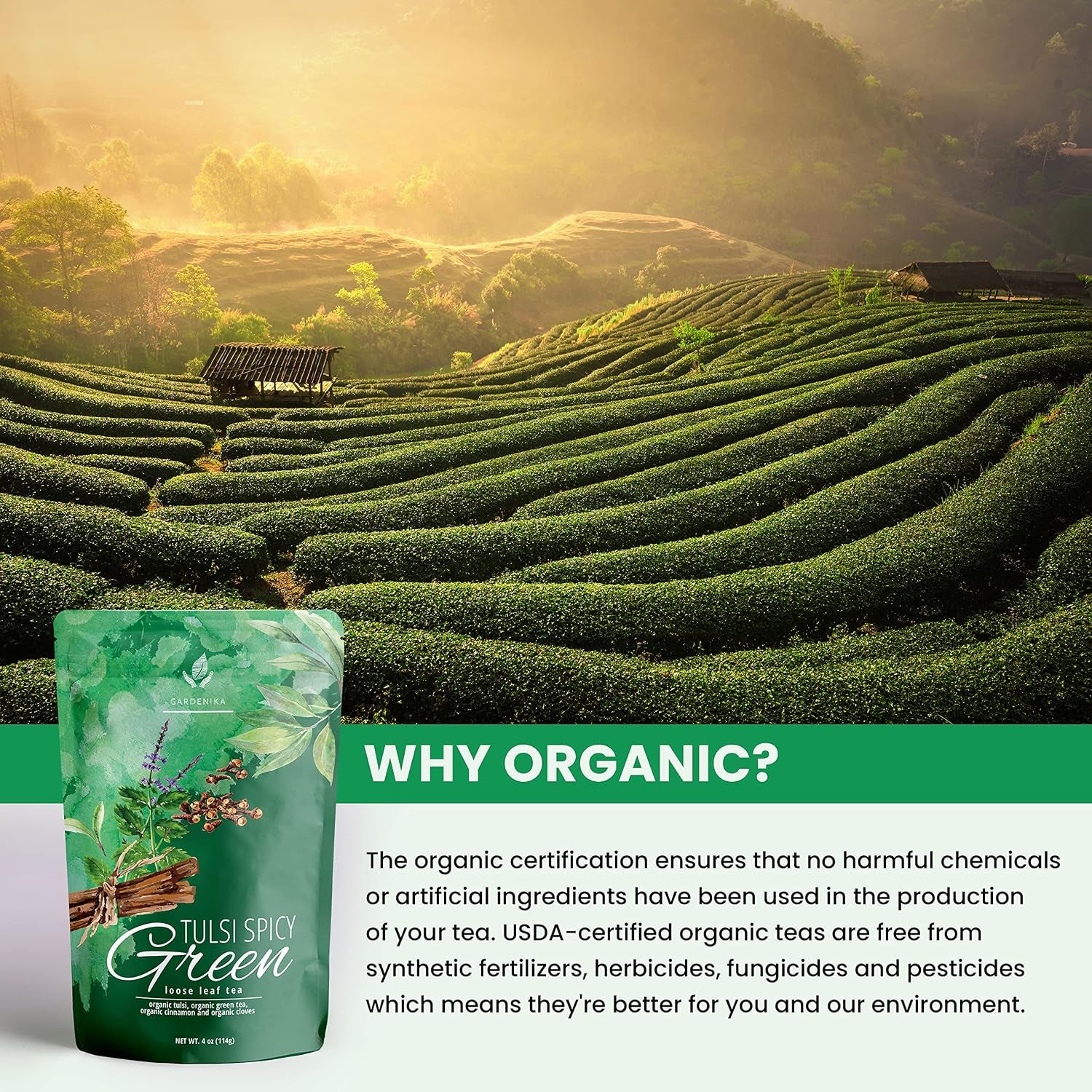 Organic Green Loose Leaf Tea with Tulsi, Cloves and Cinnamon – Kosher, No Natural or Artificial Flavors – 4 Oz