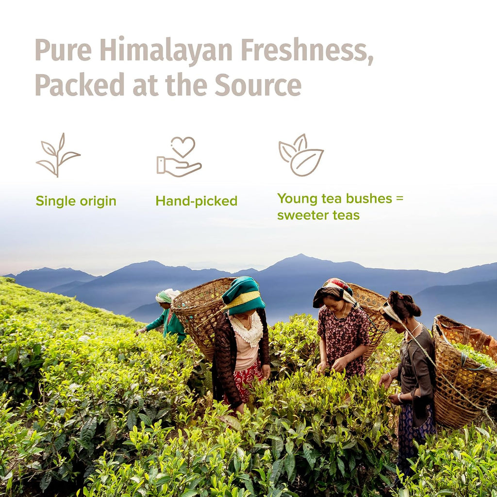 Organic Silver Tip Tea Loose Leaf - USDA Certified Organic Loose Leaf Tea from a Family Farm in the Himalayas - Premium Leaves - 3.5 Oz / 100 G (Silver Yeti)