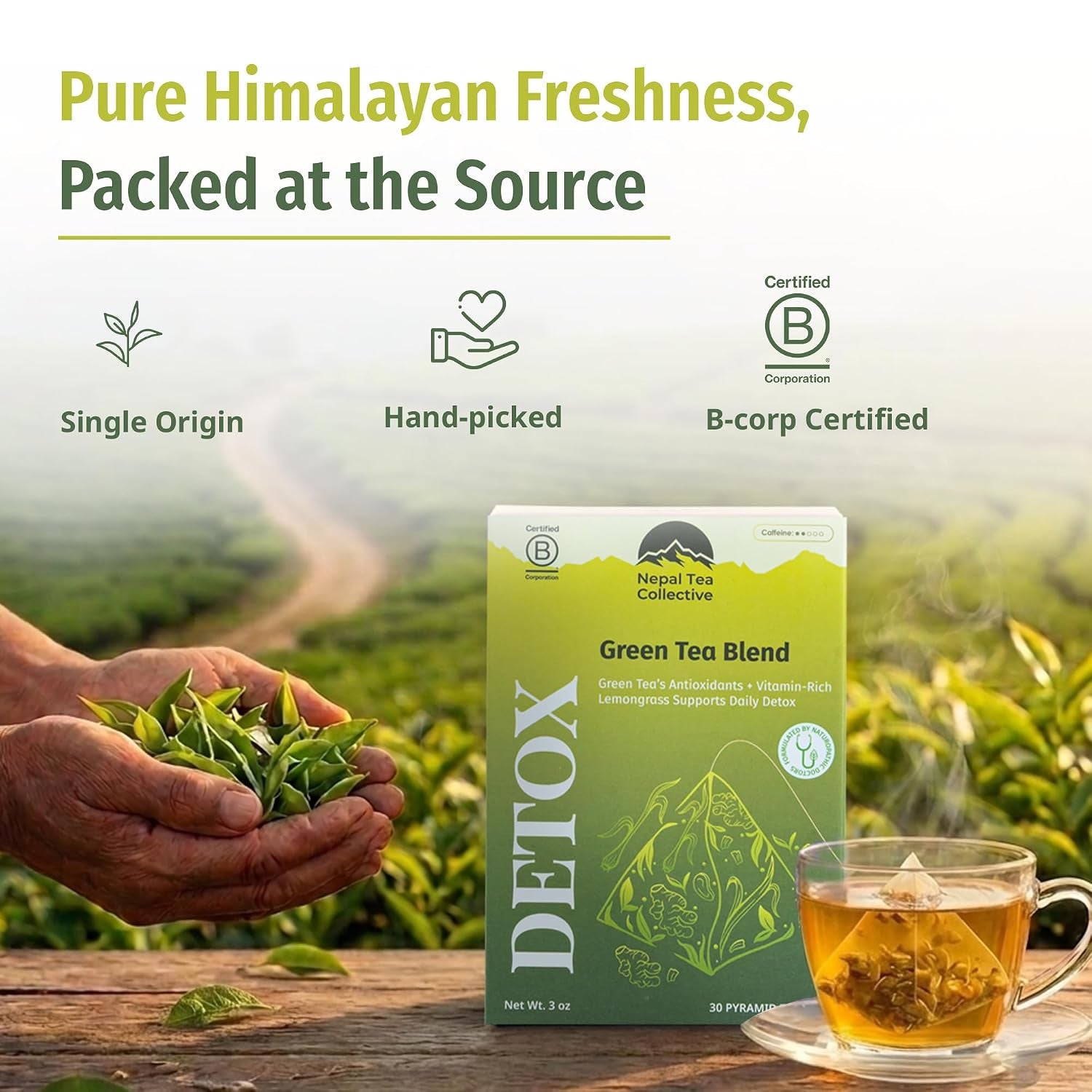 Ginger Green Tea Bags with Lemongrass | Himalayan Organic Herbal Tea Blend | Warm, Citrusy, & Naturally Smooth | 30 Plastic Free Pyramid Bags