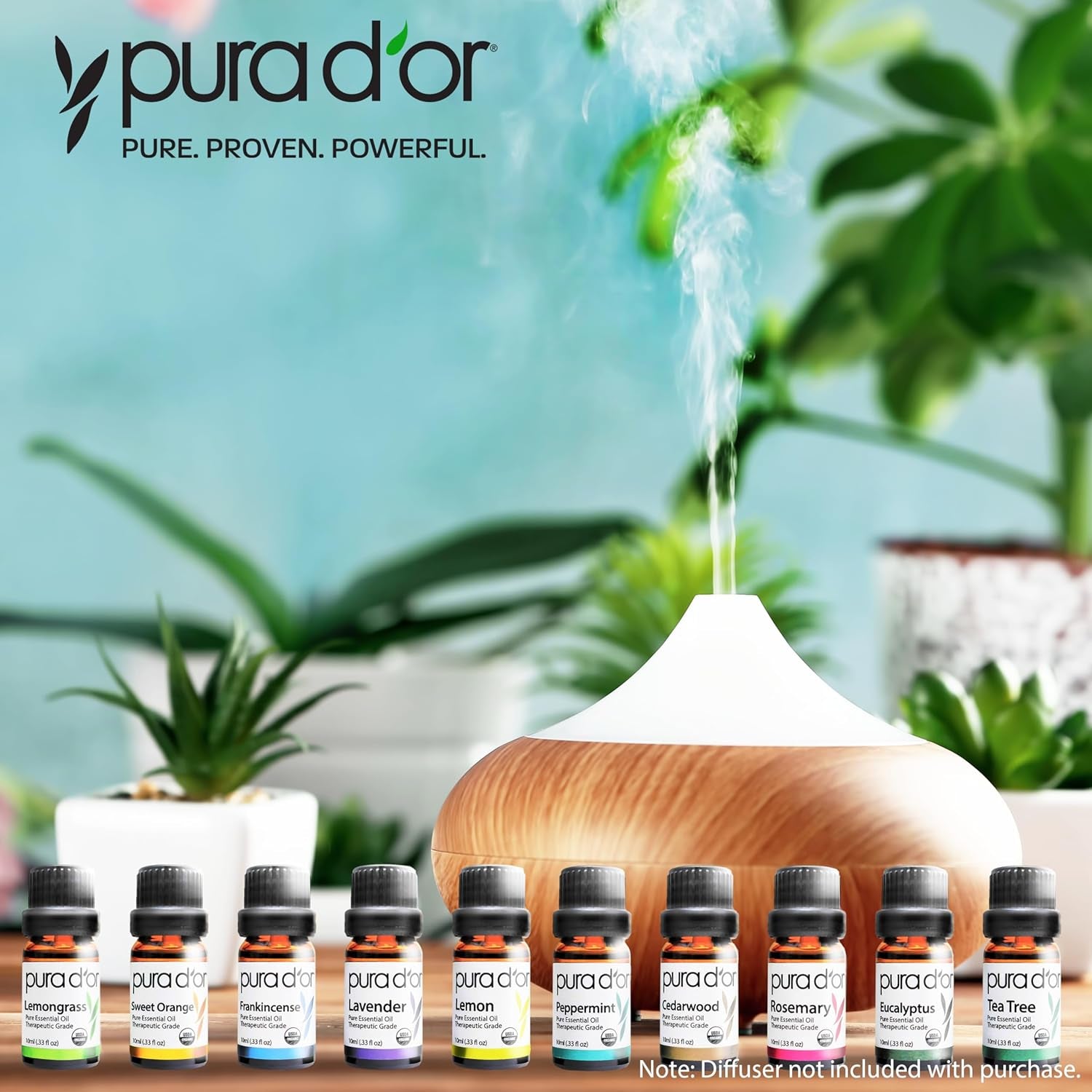 Organic Perfect10 Essential Oils Set - 10X 10Ml Wood Box Aromatherapy Gift Set - 100% Pure Therapeutic Grade for Relaxation and Wellness (Lavender, Peppermint, Eucalyptus, Tea Tree & More)
