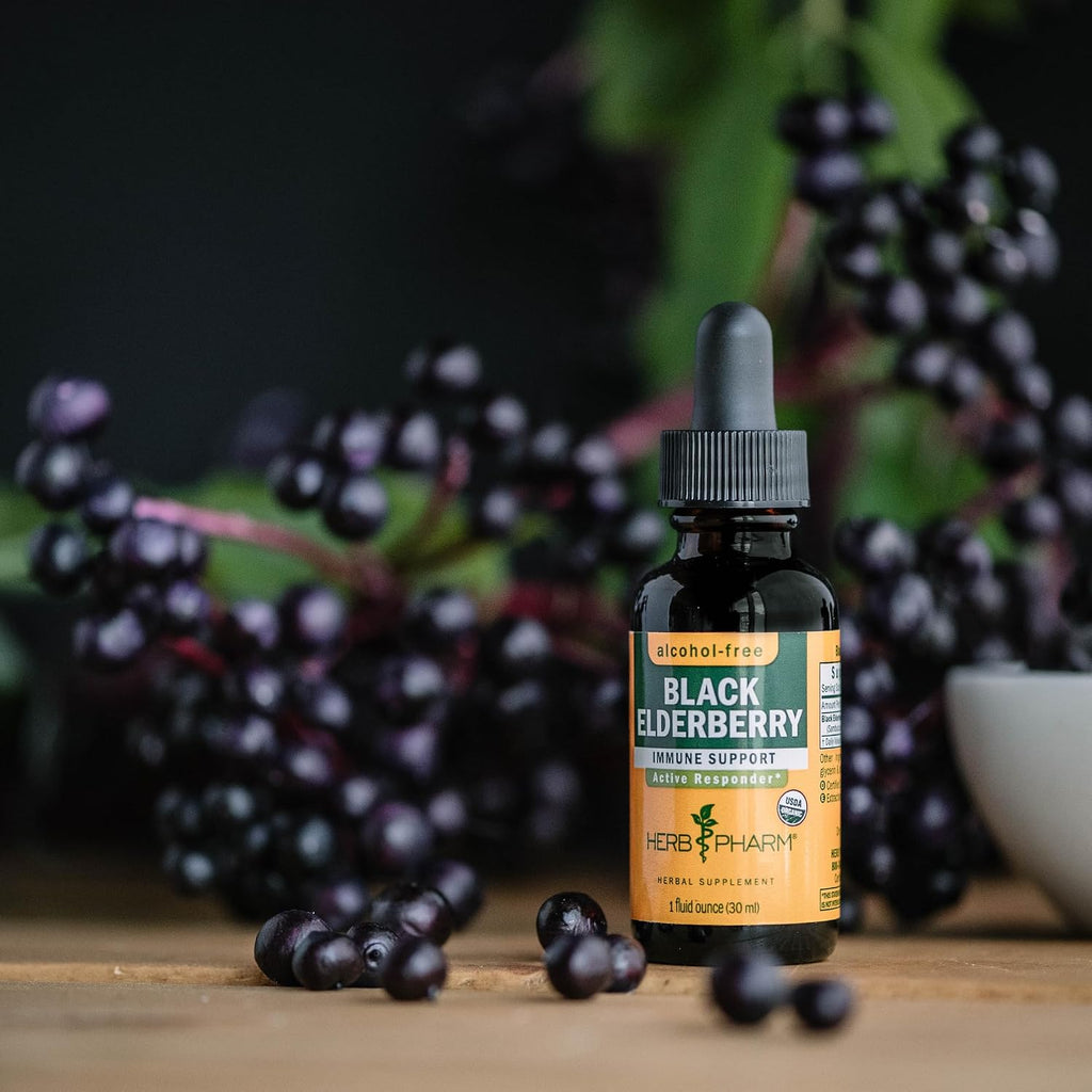 Certified Organic Black Elderberry Liquid Extract Drops for Immune System Support, Alcohol-Free Glycerite, 4 Oz