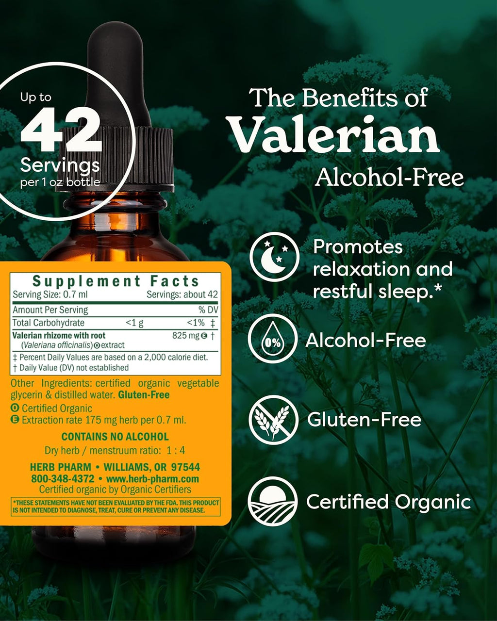 Valerian Alcohol-Free Extract: Organic Liquid Glycerite for Sleep & Relaxation, Calming Nighttime Sleep Support Supplement for Adults, Sugar-Free, up to 6 Week Supply, 1 Oz