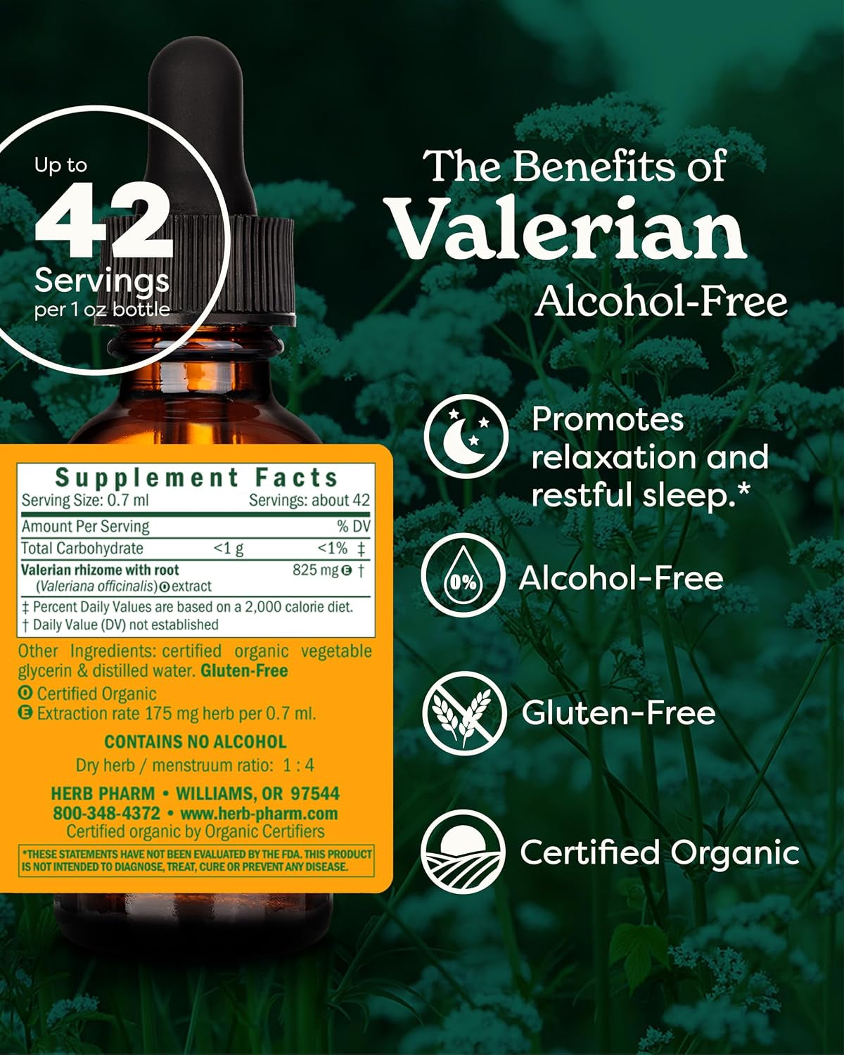 Valerian Alcohol-Free Extract: Organic Liquid Glycerite for Sleep & Relaxation, Calming Nighttime Sleep Support Supplement for Adults, Sugar-Free, up to 6 Week Supply, 1 Oz