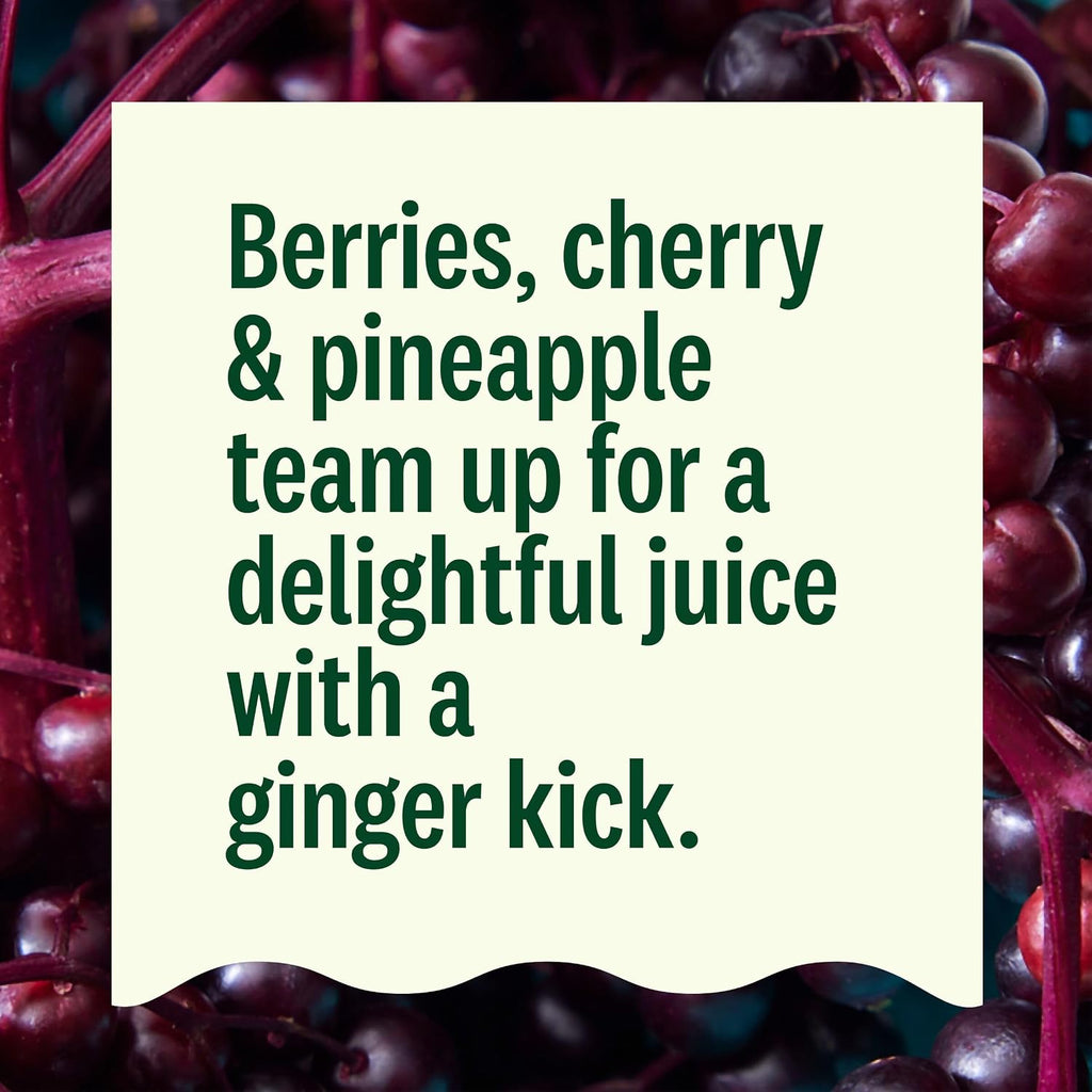 Organic Gut Health Elderberry Ginger Cold Pressed Juice Drink, 12 Fl Oz Bottle