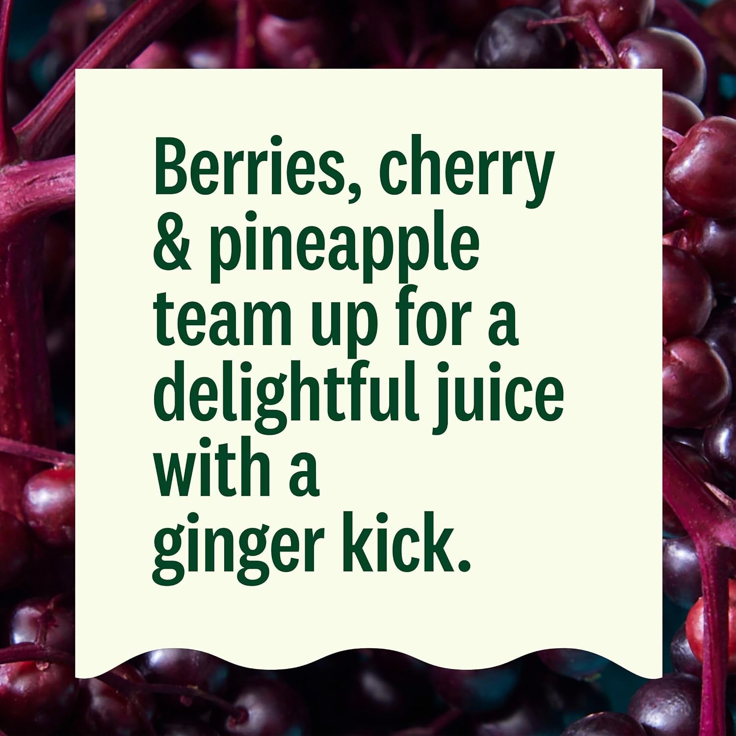 Organic Gut Health Elderberry Ginger Cold Pressed Juice Drink, 12 Fl Oz Bottle