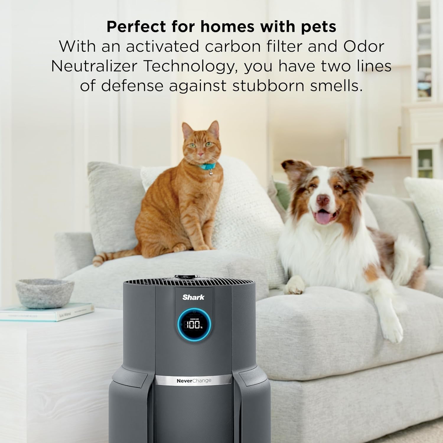 Shark Air Purifier for Home, Neverchange Max, 1,300 Sq. Ft. for Large Room, Kitchen, Home Office, Hepa-Exceeding Filter, Captures Pollutants, Pet Dander, Dust, Odor, Smoke, and More, HP301, Grey