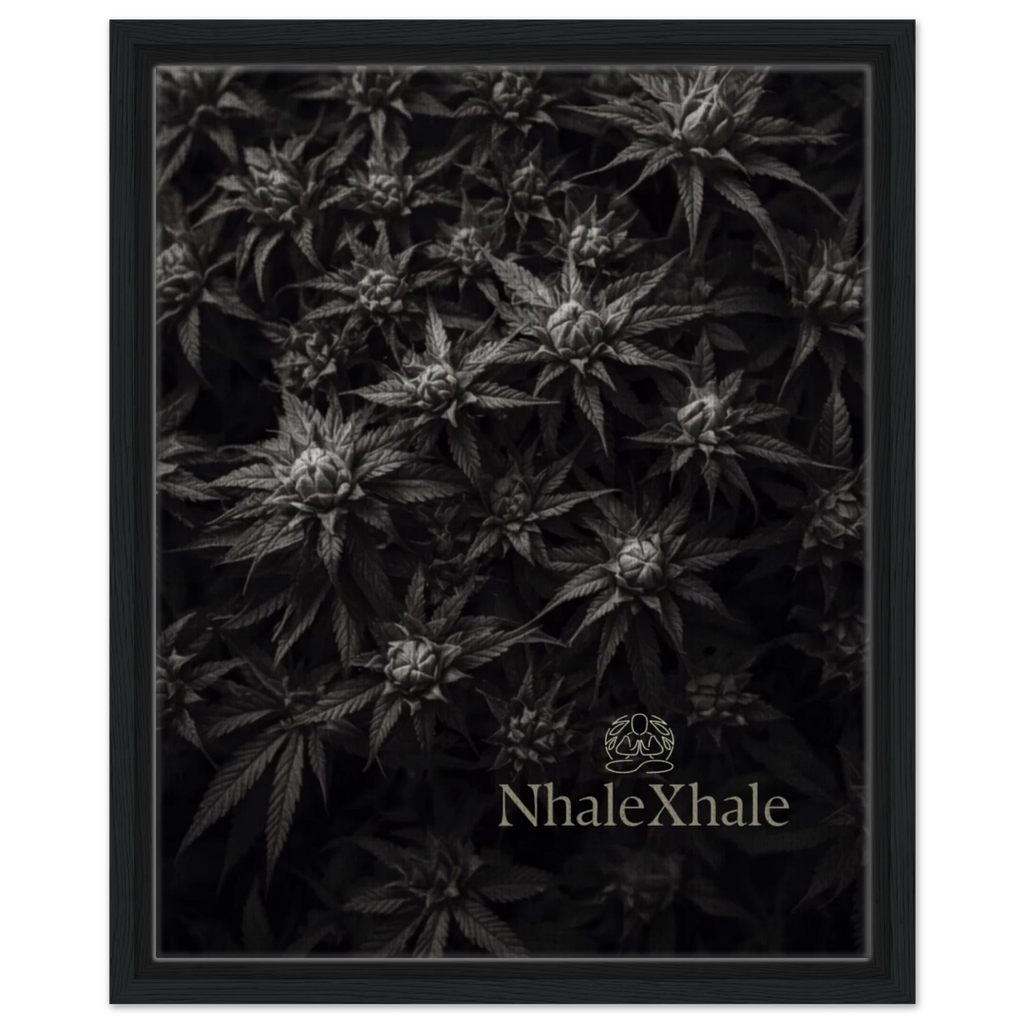 4ff4bc30-5322-4165-8ede-0ef22a73b159