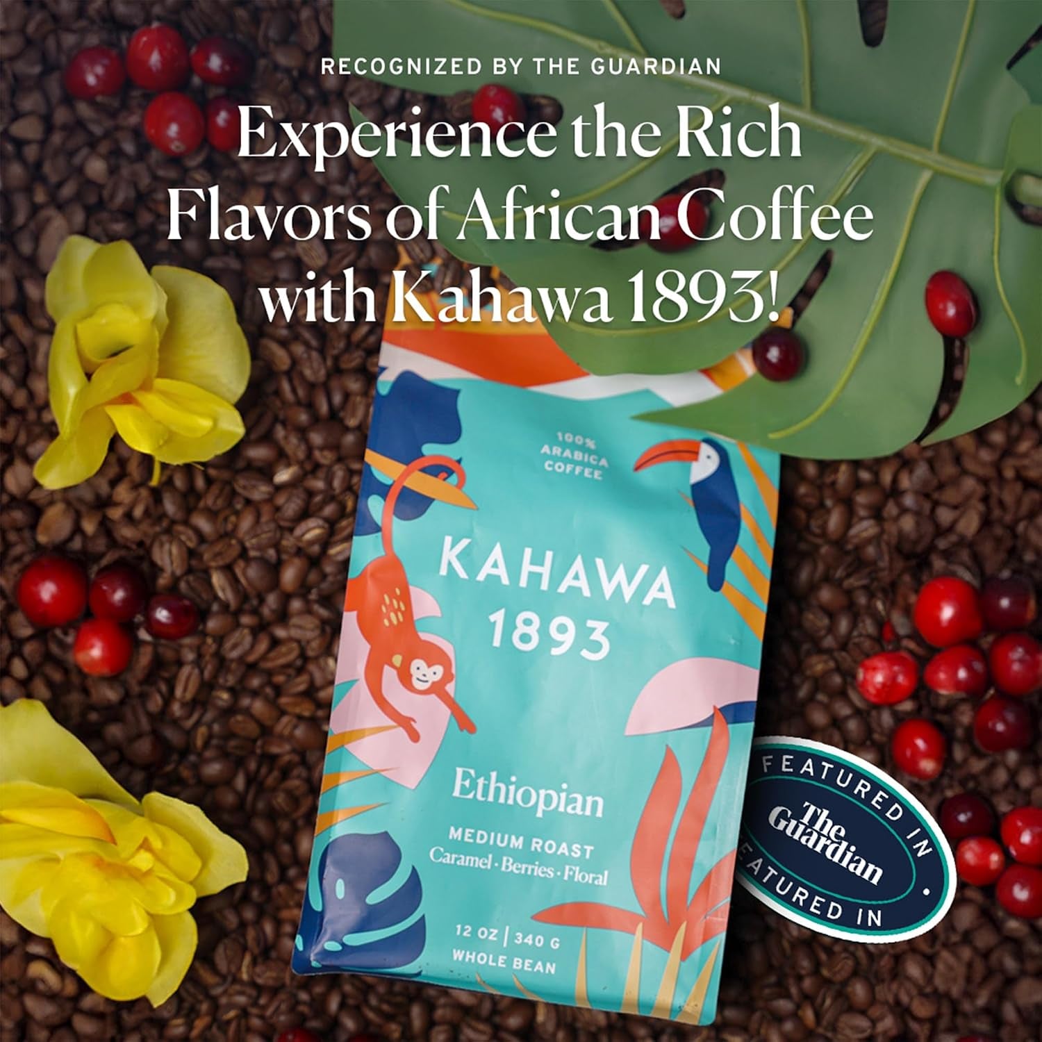 Whole Bean Coffee Medium Light Roast Ethiopian Blend 24 Oz - as Seen on Shark Tank, High Antioxidants, Naturally Sweet, Organically Grown, Ethically & Sustainably Sourced
