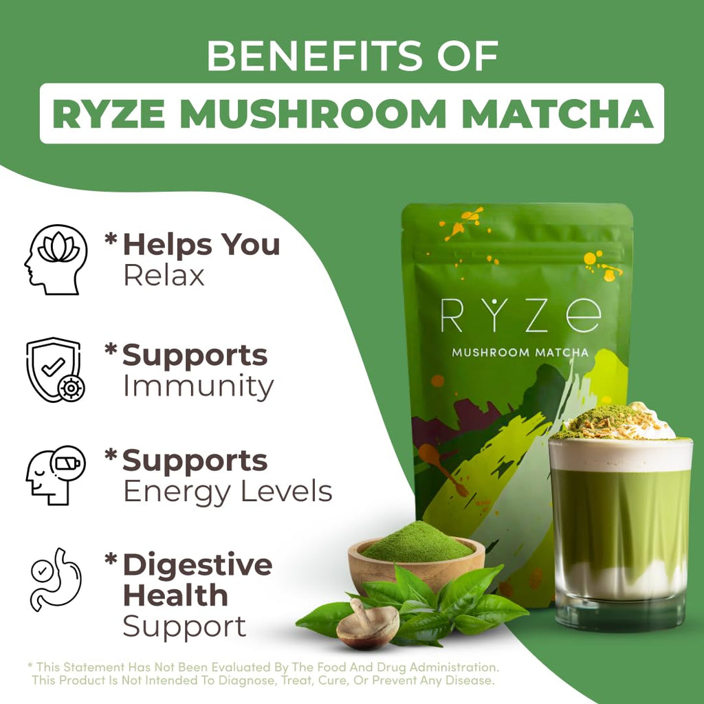 RYZE SUPERFOODS Mushroom Matcha Starter Kit, USDA Organic with 6 Adaptogenic Mushrooms and Ceremonial-Grade Matcha, Energy, Focus, Digestion, Immunity with Turkey Tail, Shiitake, Reishi