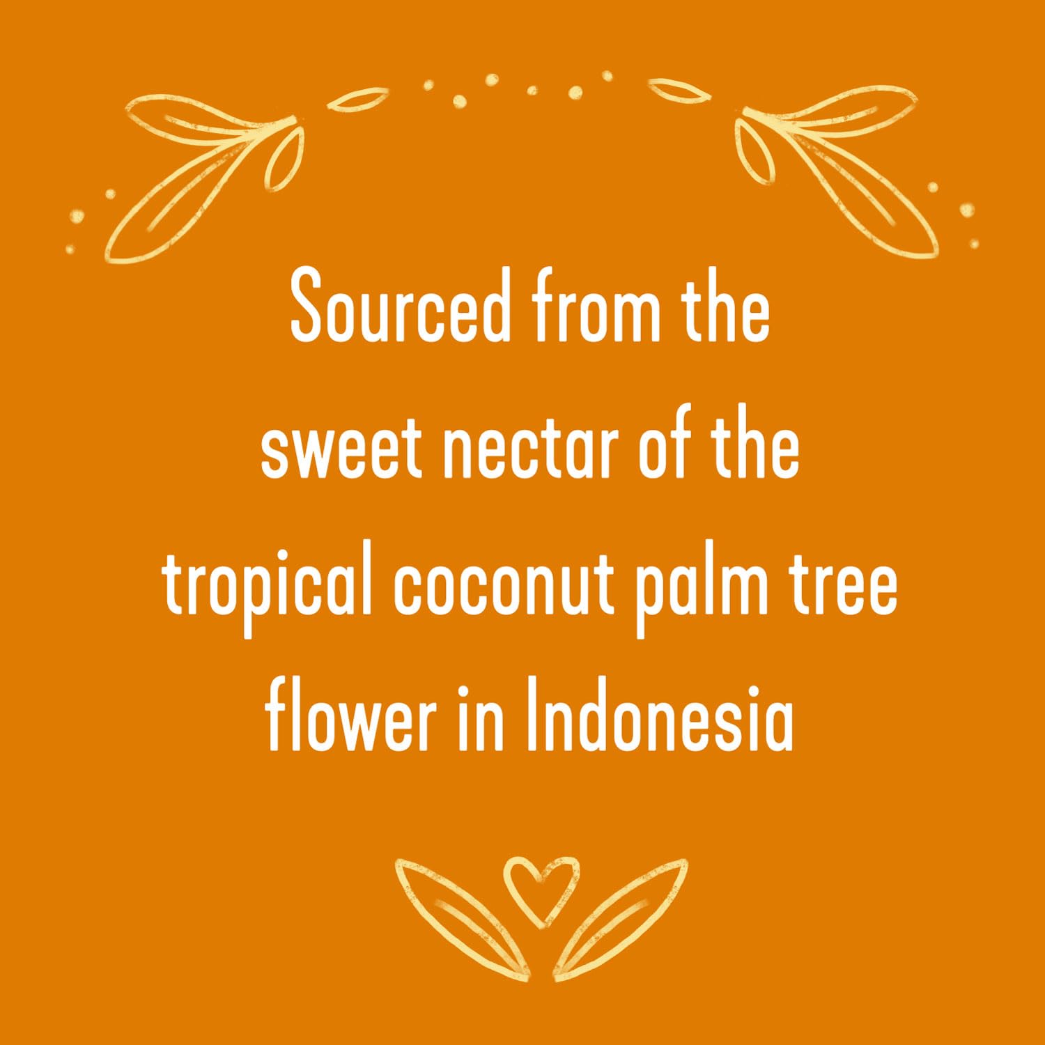 Wholesome Sweeteners Fair Trade Organic Coconut Palm Sugar, Non GMO & Gluten Free, 1 lb (Pack of 1)