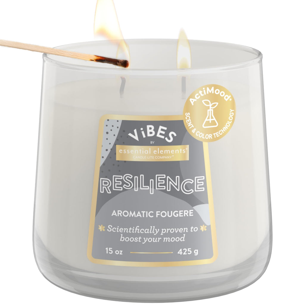 Candle-Lite Vibes Aromatic Fougere Mood-Enhancing Scented Candles, 15 oz Jar, Aromatherapy, Proudly Poured in The USA, 2-Wick, 86 Hours Burn Time, Perfect Relaxation Gift