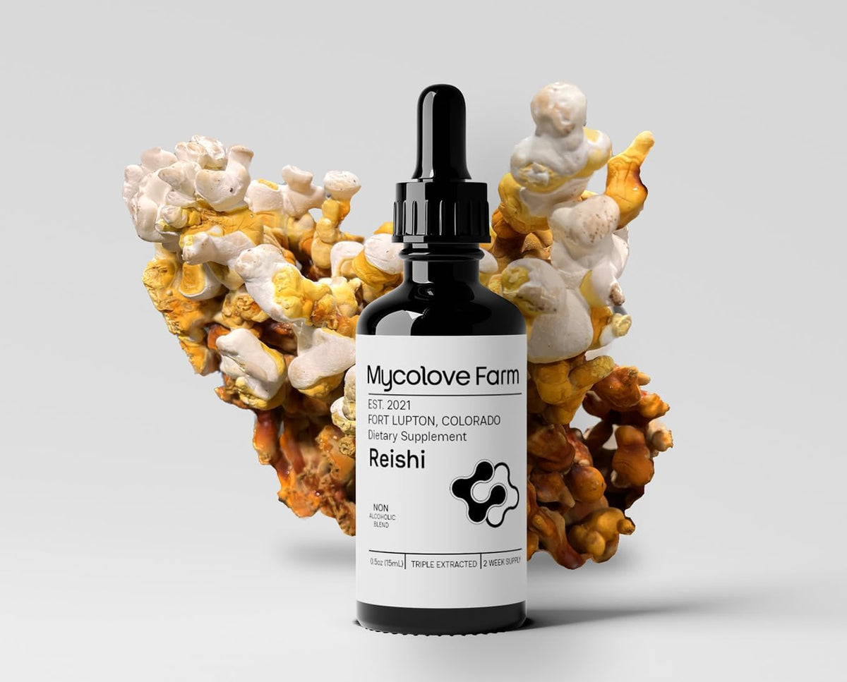 Organic Reishi Mushroom & Elderberry Tincture, Natural Balance & Boost Tincture, Fruiting Body Extract - USDA Certified