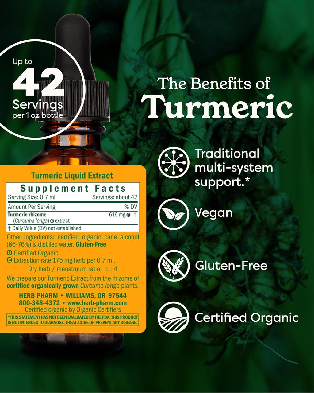 Turmeric Liquid Extract: USDA Organic Liver, Joint, Muscle, Cardiovascular, and Digestive Support, Fast-Absorbing & Sugar-Free Turmeric Root Tincture, up to ~3 Week Supply, 1 Oz*