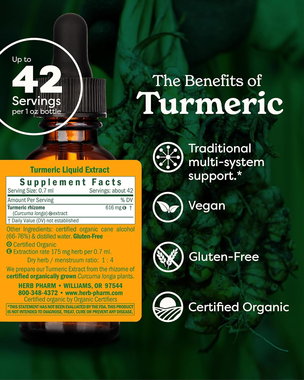 Turmeric Liquid Extract: USDA Organic Liver, Joint, Muscle, Cardiovascular, and Digestive Support, Fast-Absorbing & Sugar-Free Turmeric Root Tincture, up to ~3 Week Supply, 1 Oz*