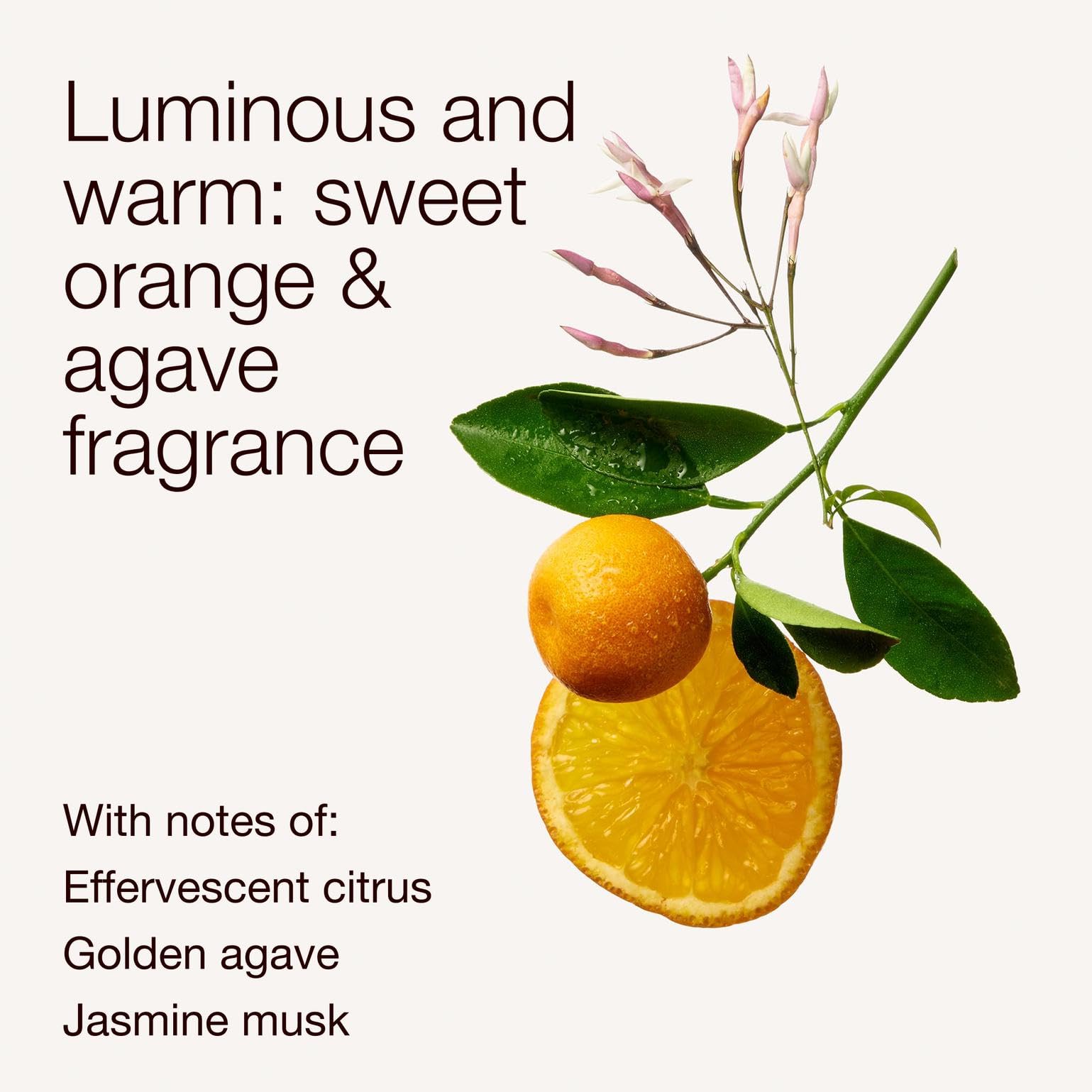 Bath & Body Works 3-Wick Candle, Sweet Orange & Agave Citrus Candle, Strong Throw, Long-Lasting Burn Up to 45 Hours, Exclusively Fragranced Soy Wax Blend, 14.5 oz - 2 Pack