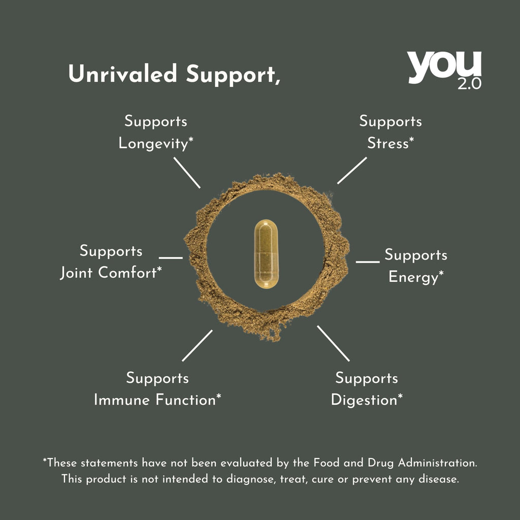 YOU 2.0 Powerhouse Superfood with Seamoss, Shilajit, Ashwagandha, Berberine, Maca, Black Seed Oil, Turmeric, Vitamin C, D, B12, K2 - Moringa, Apple Cider, Made in USA for Overall Health & Immunity