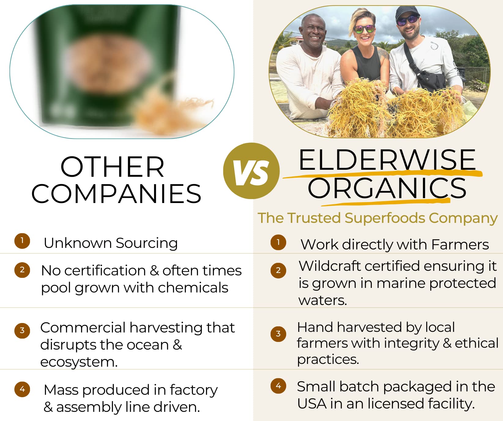 Elderwise Raw Sea Moss | Seamoss Makes 24oz of Gel | Wildcrafted Golden Sea moss | Raw | Sundried | Mineral and Vitamin Rich | Golden