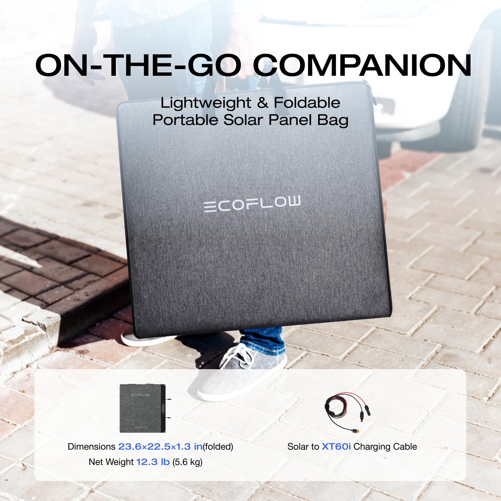 EF ECOFLOW 2PCS 160 Watt Portable Solar Panel for Power Stations, 25% High Conversion Efficiency Foldable Solar Panel with Adjustable Kickstand IP68 Waterproof, Ideal for Camping RV, NextGen Version
