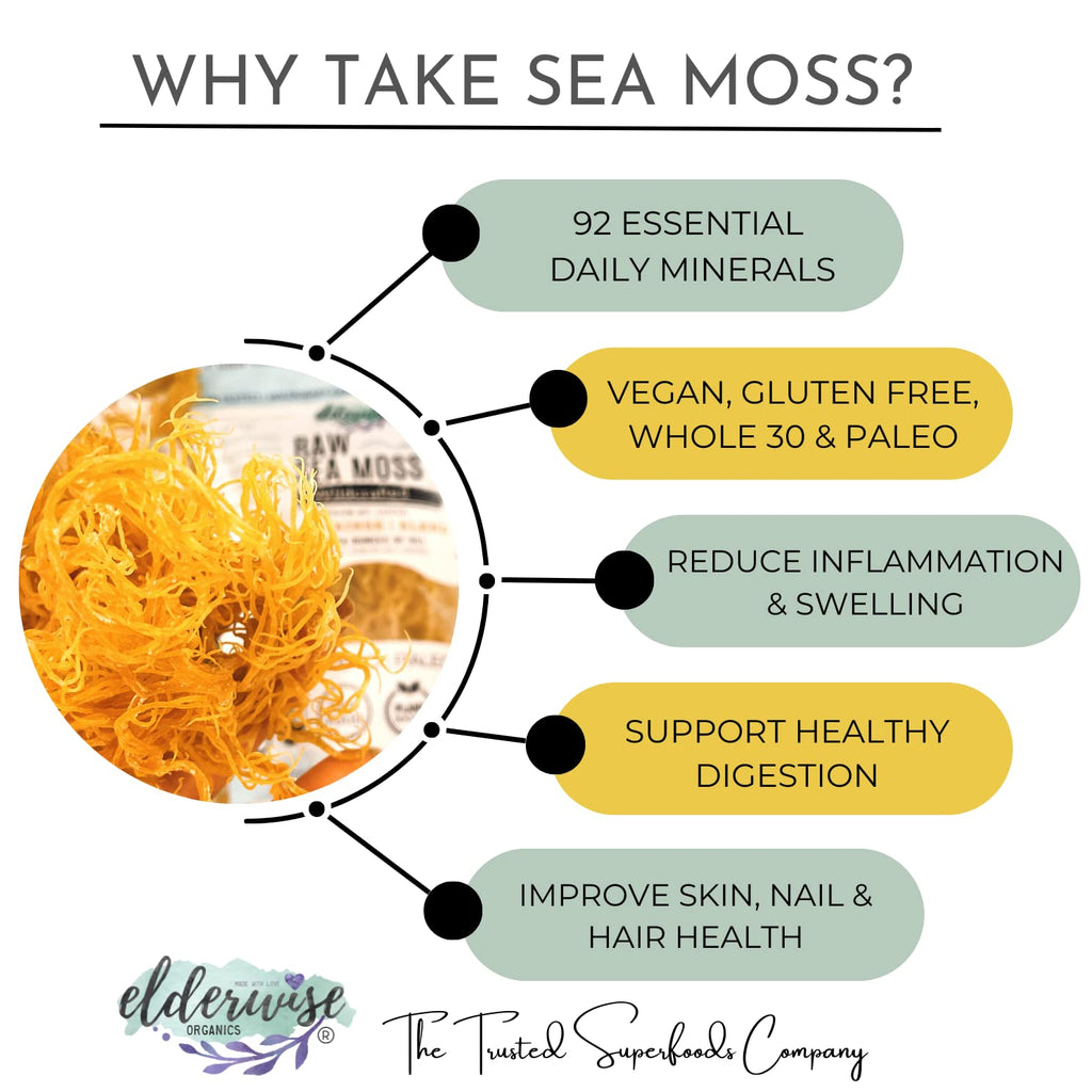 Elderwise Raw Sea Moss | Seamoss Makes 24oz of Gel | Wildcrafted Golden Sea moss | Raw | Sundried | Mineral and Vitamin Rich | Golden