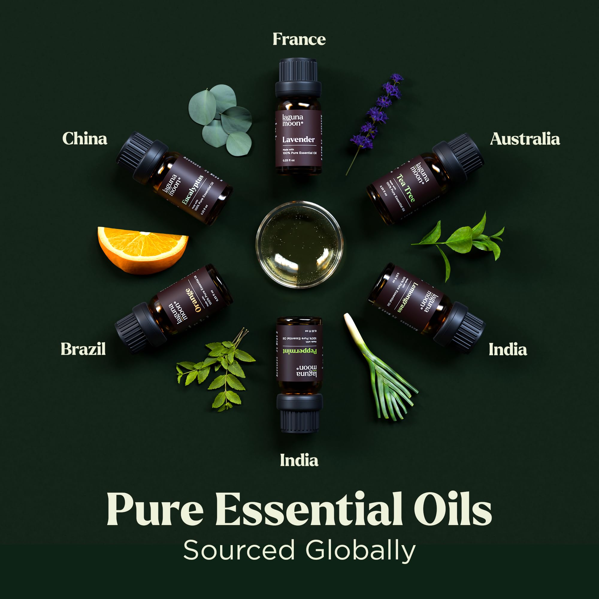 Lagunamoon Essential Oils Aromatherapy Set - 6 Oils for Diffusers, Home Care, Candle Making Scents, Fragrance, Humidifiers, Gifts - Peppermint, Tea Tree, Lavender, Eucalyptus, Orange (10mL)