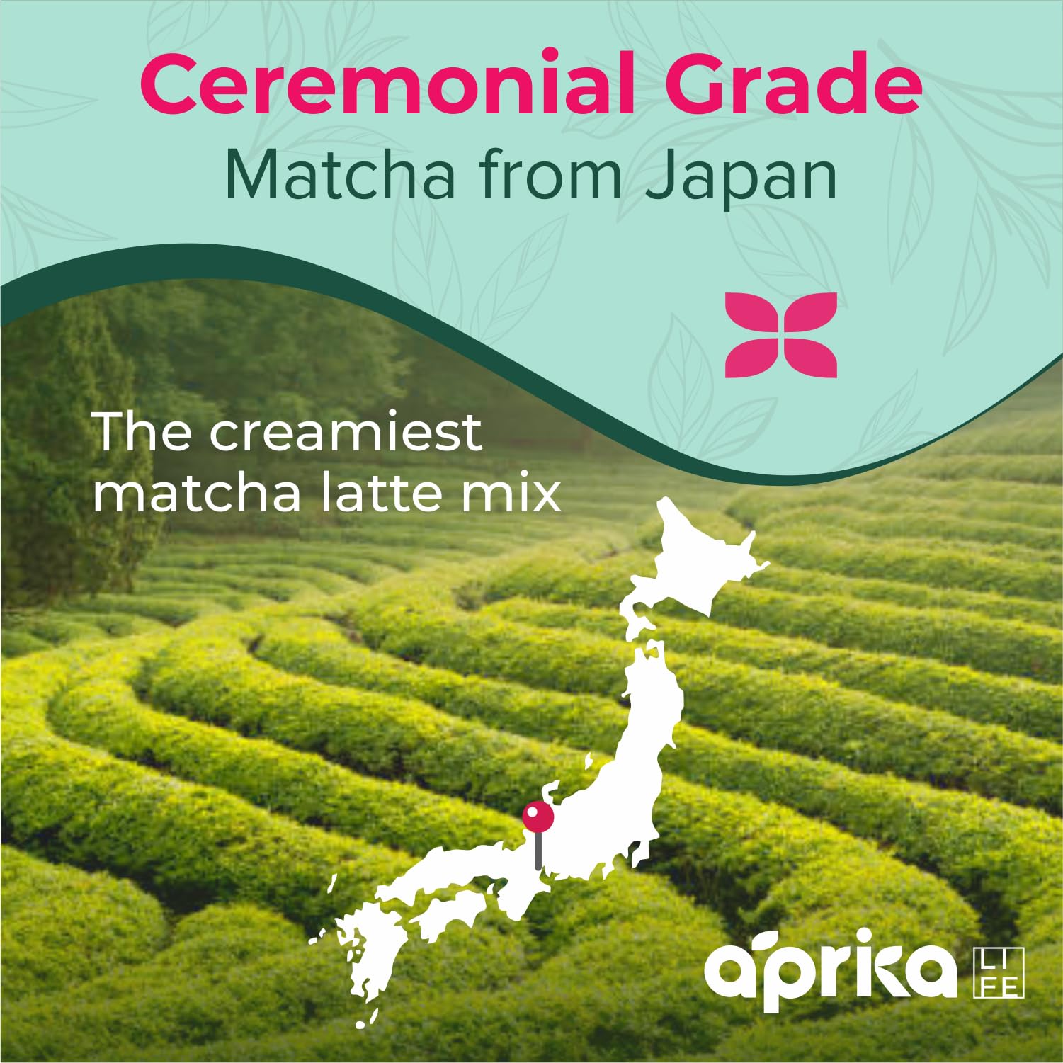 AprikaLife Matcha Latte Powder, Premium Barista Crafted Mix with Natural Vanilla Flavor - Authentically Japanese - 1st Harvest Ceremonial Grade, Sweet Matcha Powder Used by Coffee Shops 6.8 oz / 180g