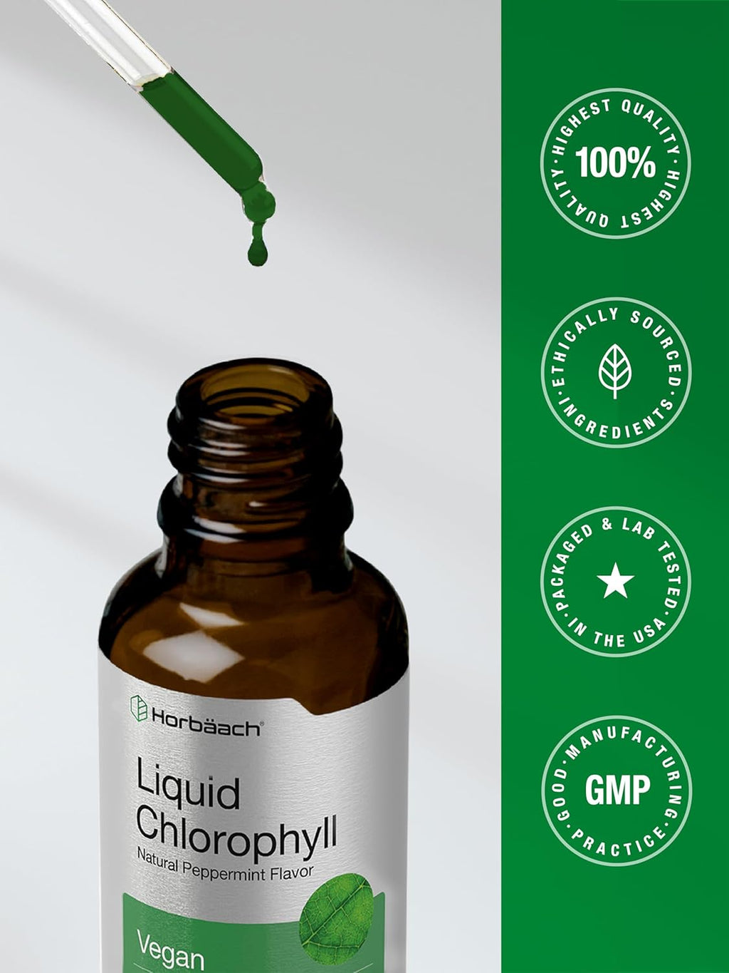 Horbäach Liquid Chlorophyll Drops | 2 oz | Vegan, Non-GMO, and Gluten Free Formula | Natural Peppermint Flavor