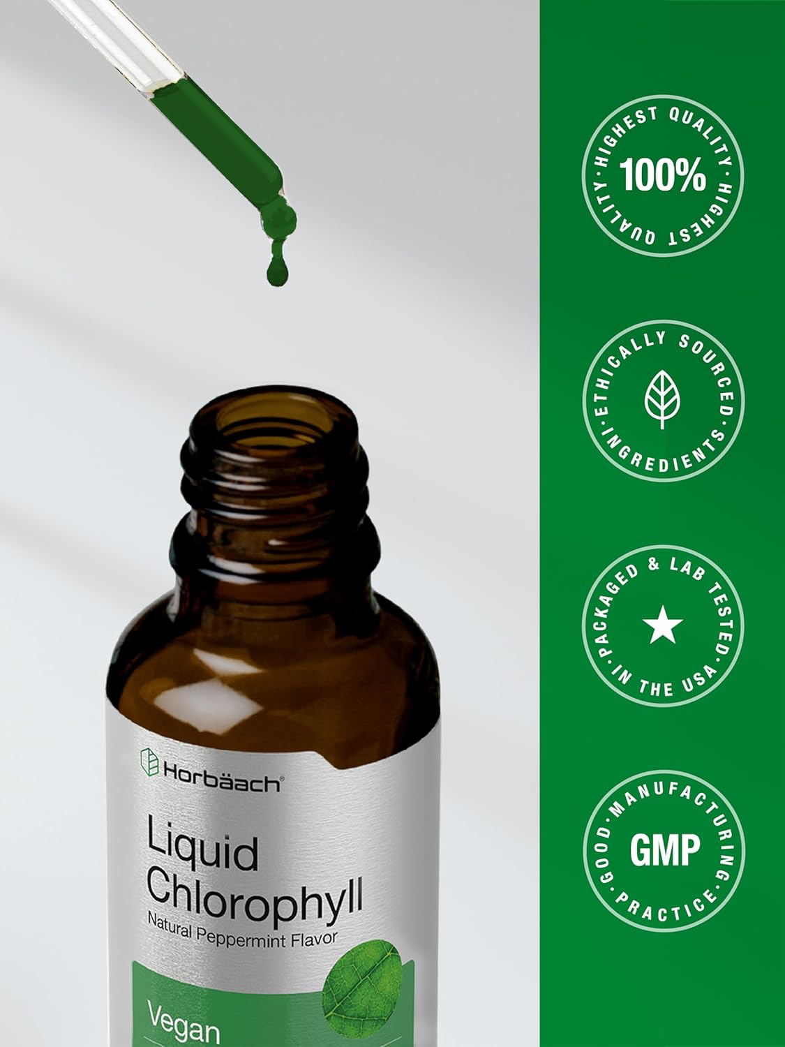 Horbäach Liquid Chlorophyll Drops | 2 oz | Vegan, Non-GMO, and Gluten Free Formula | Natural Peppermint Flavor