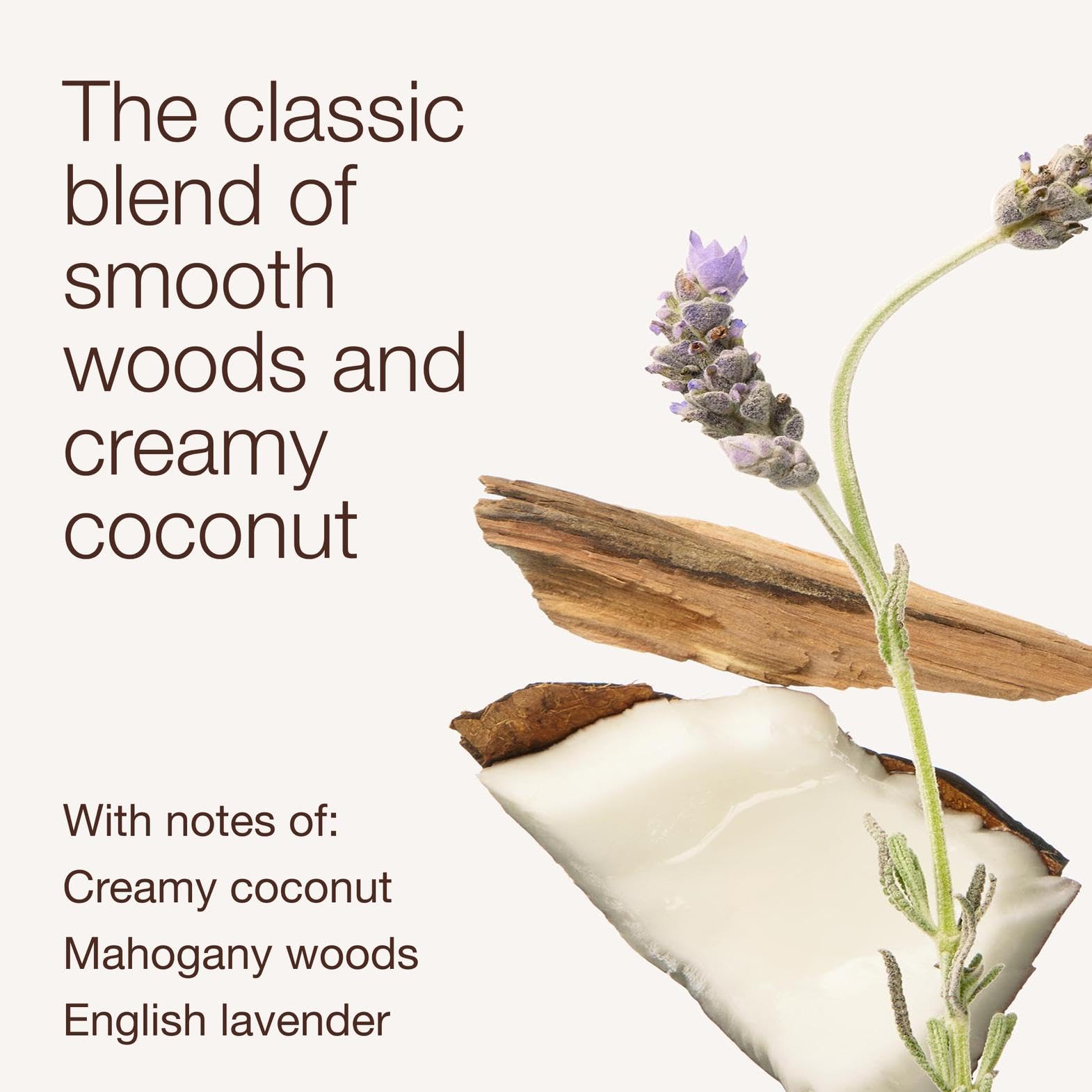 Bath & Body Works 3-Wick Candle, Mahogany Coconut Candle, Strong Throw, Long-Lasting Burn Up to 45 Hours, Exclusively Fragranced Soy Wax Blend, 14.5 oz - 2 Pack