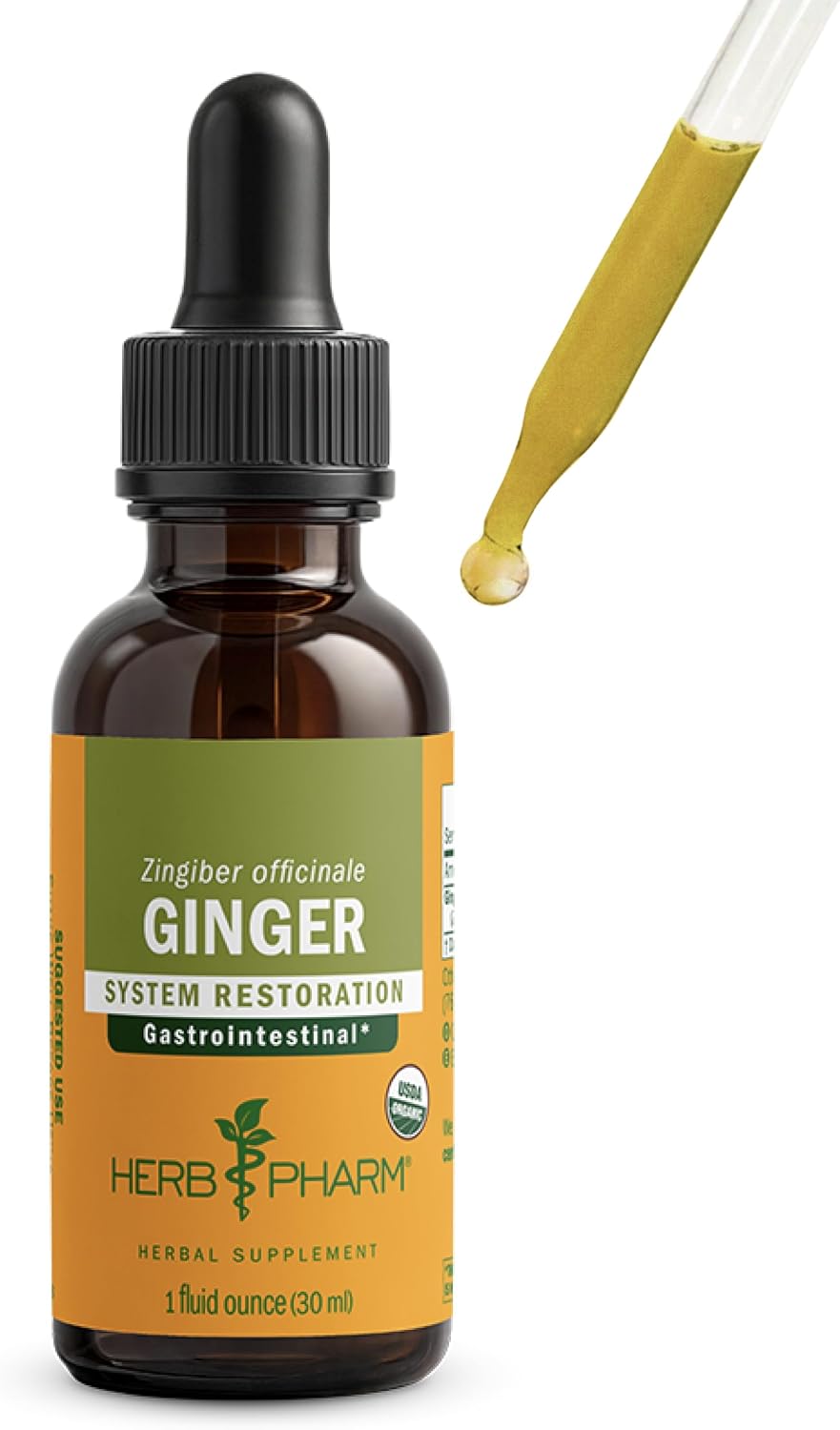 Ginger Liquid Extract: Organic Supplement for Digestion, Occasional Nausea Support, Fast-Absorbing Ginger Liquid, Sugar-Free Organic Digestive Support Tincture, up to ~12 Week Supply, 4 Oz*
