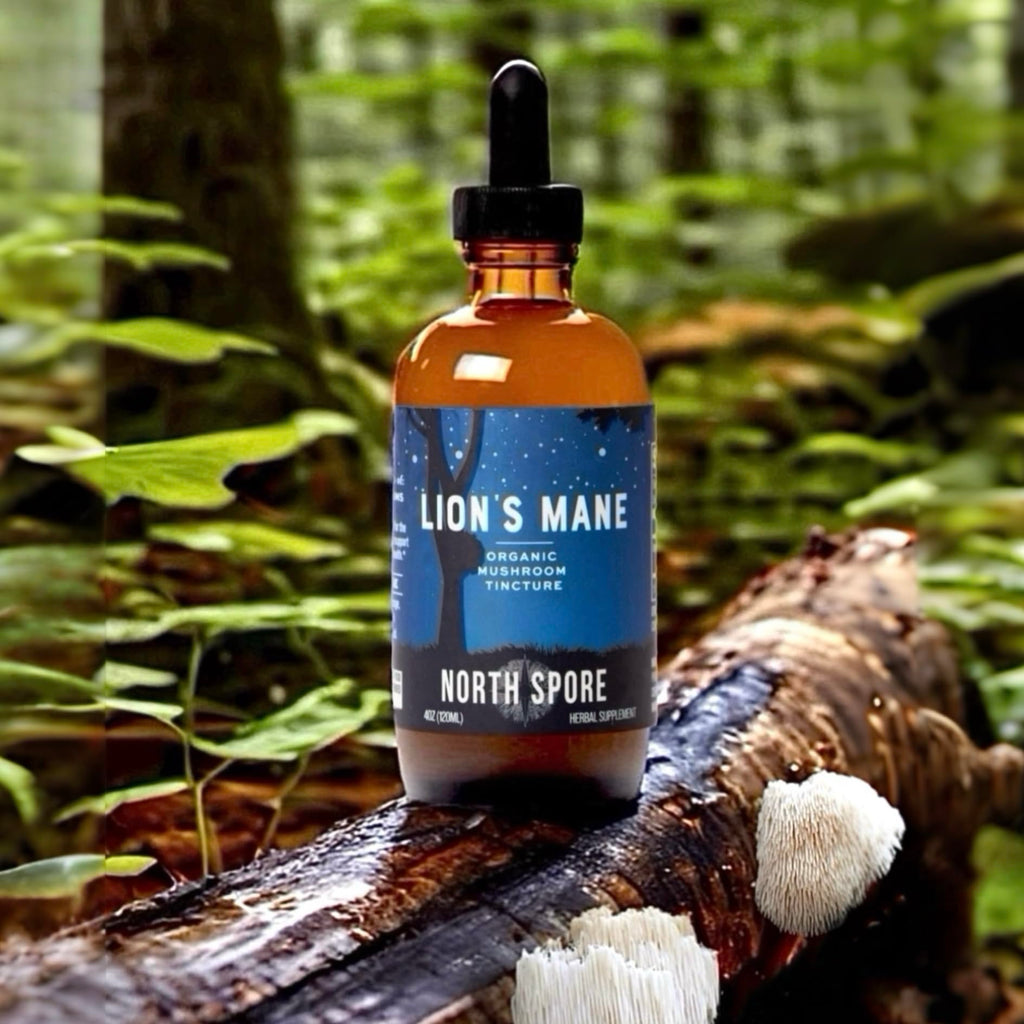 North Spore Organic Lion's Mane Mushroom Tincture (2 oz) | 100% Fruiting Body Extracts | for Focus, Memory, Brain Support | Certified Organic, Vegan, Non-GMO | Adaptogenic, Nootropic | Made in USA