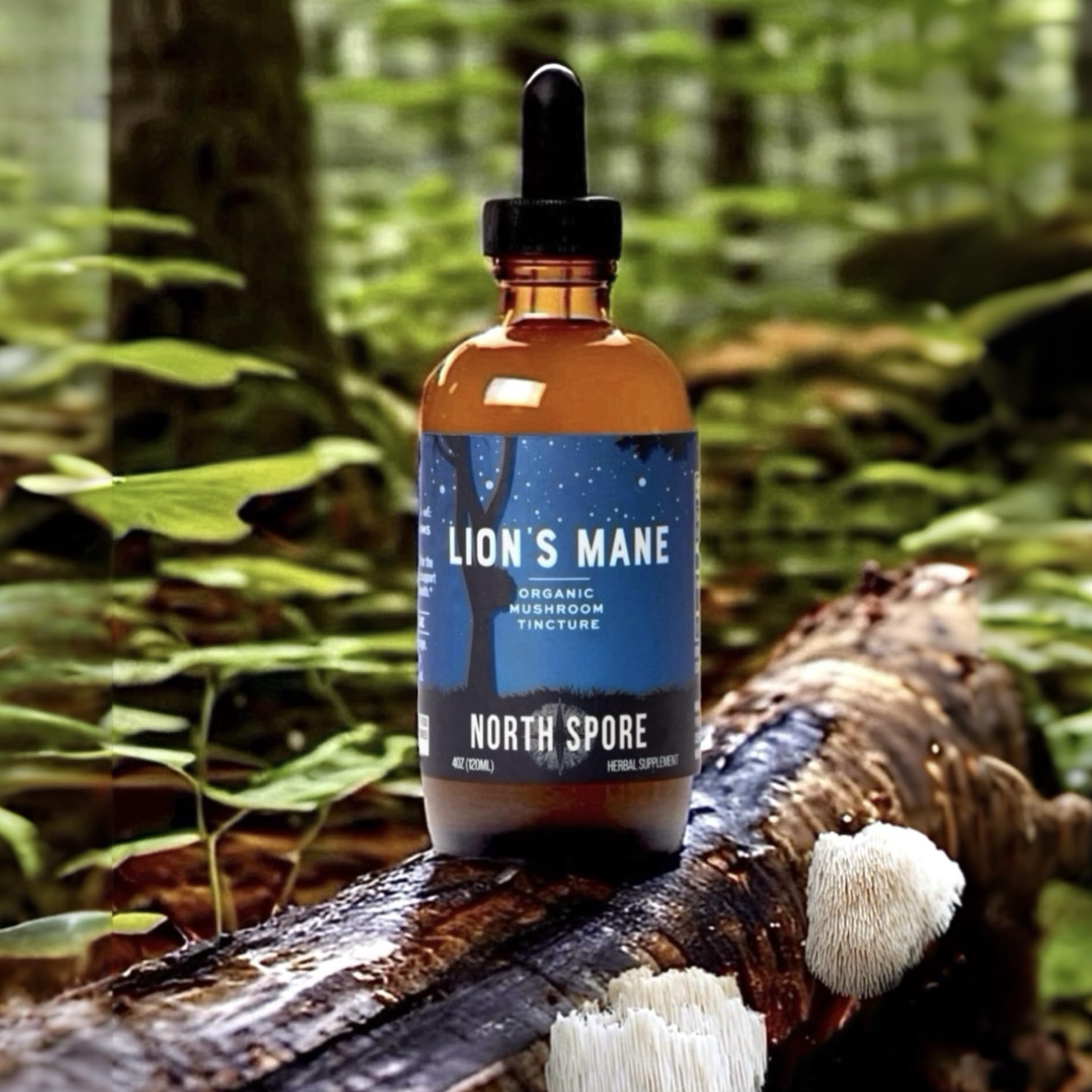 North Spore Organic Lion's Mane Mushroom Tincture (2 oz) | 100% Fruiting Body Extracts | for Focus, Memory, Brain Support | Certified Organic, Vegan, Non-GMO | Adaptogenic, Nootropic | Made in USA