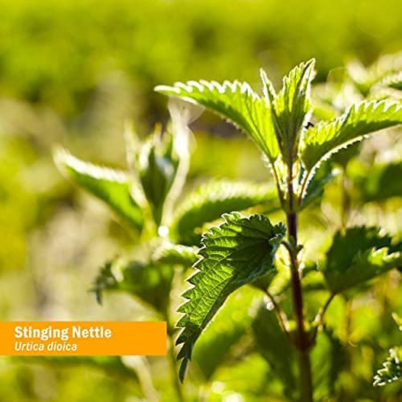 Stinging Nettle Blend Liquid Extract - 1 Ounce (DNETT01)