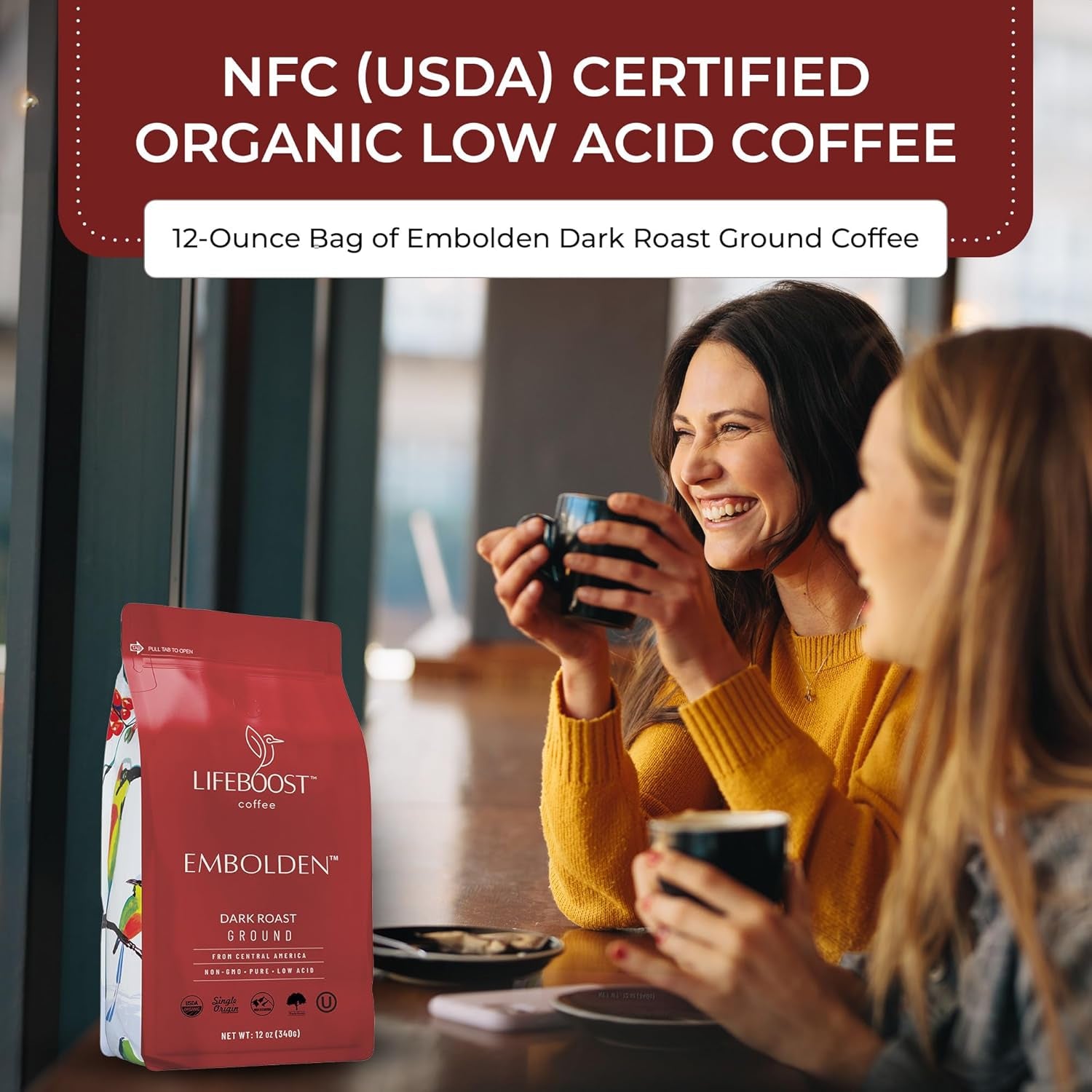 Dark Roast Ground Coffee - Non-Gmo Low Acid Single Origin USDA Organic Dark Roast Coffee - Third Party Tested for Mycotoxins & Pesticides - 12 Ounces