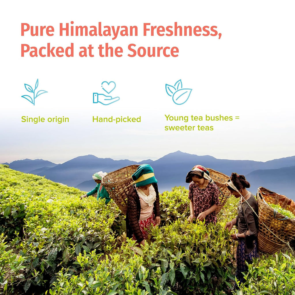 Organic Loose Leaf Oolong Tea - USDA Certified Organic Oolong Tea Loose Leaf - Premium Tea Leaves from a Family Farm in the Himalayas - Enjoy Hot or Iced - 3.5Oz /100G (Shangri-La Oolong)