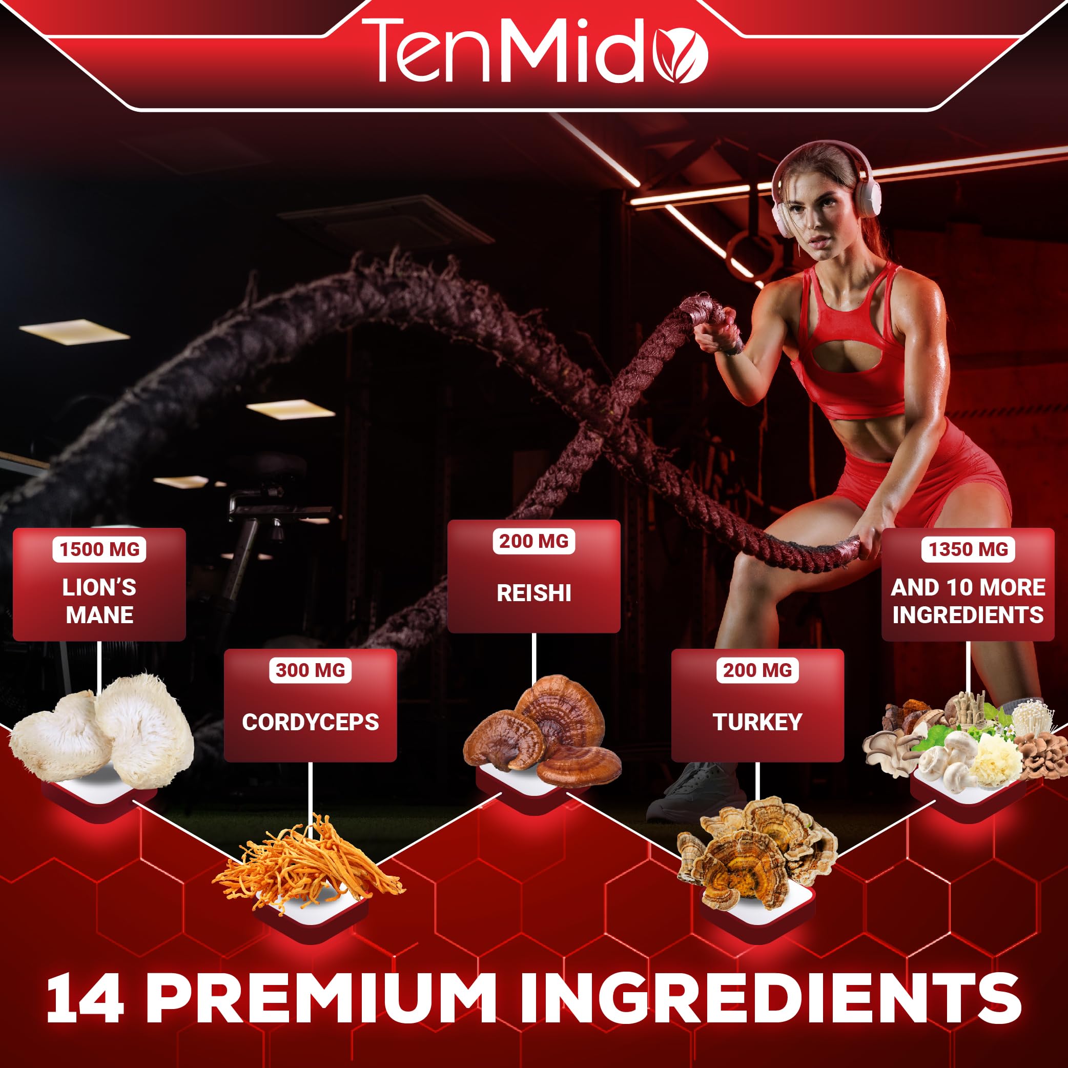 Tenmido Mushroom Complex - Herbal Liquid Drops - 14in1 with Lions Mane, Cordyceps, Reishi, Turkey, Chaga, Shiitake, Ashwagandha, Bacopa, Gotu Kola, and More - 30ml 1 Fl Oz