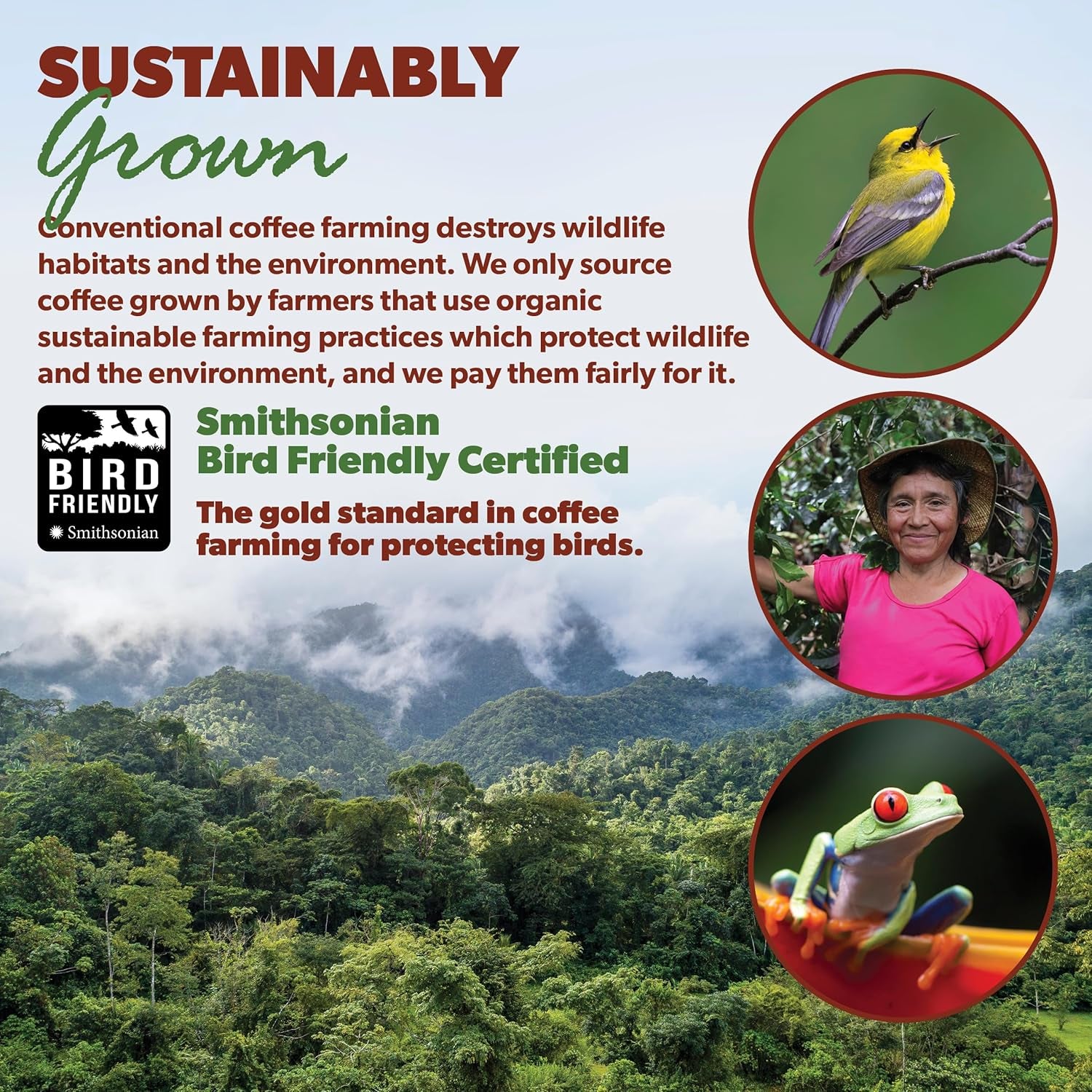 Organic Coffee Beans Whole, Medium Dark Roast - Low Acid Single Origin: Colombian Non-Gmo Organic Whole Bean Coffee - Third-Party Tested for Purity, Quality & Key Contaminants - 16 Ounces