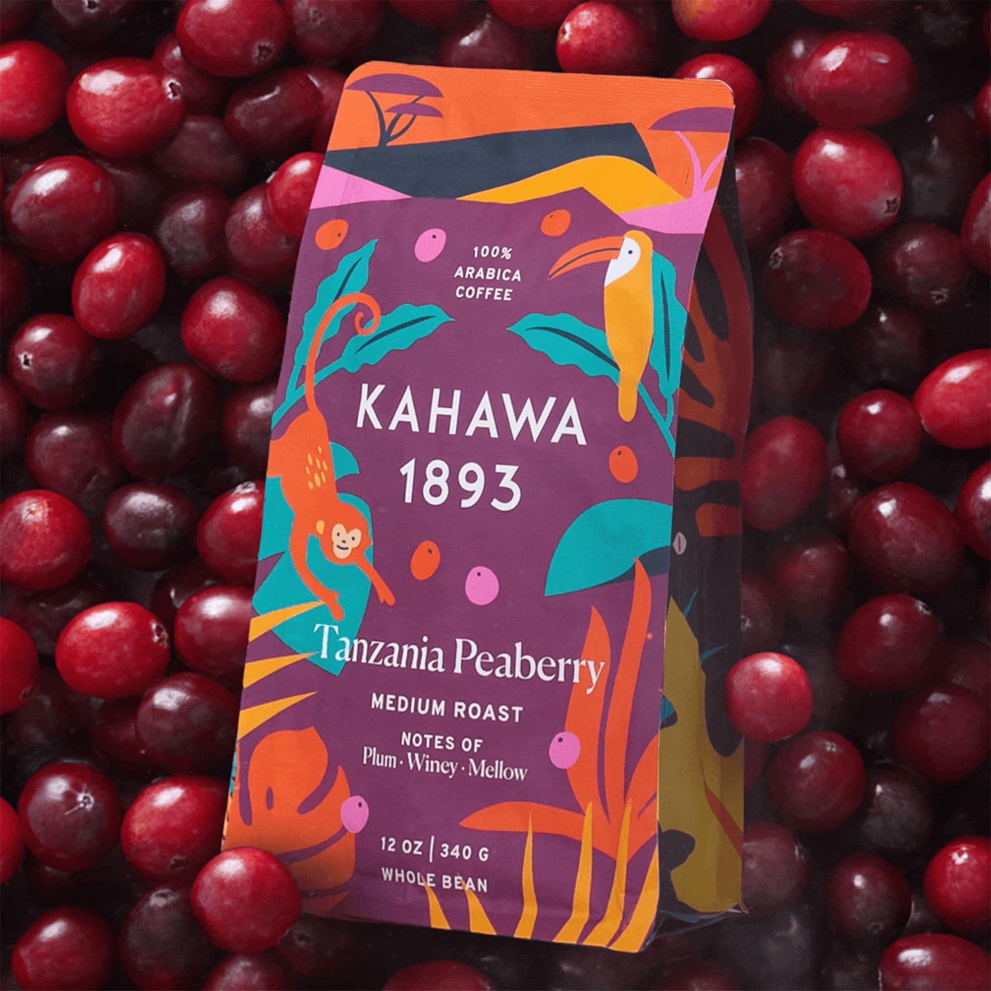 Kahawa 1893 Whole Bean Coffee Medium-Roast Tanzania Peaberry Blend 12 Oz - As Seen on Shark Tank, High Antioxidants, Naturally Sweet, Organically Grown, Ethically & Sustainably Sourced