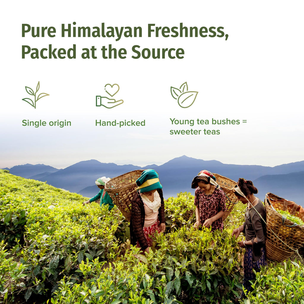 NEPAL TEA Organic Black Tea Bags from the Himalayas - 50 Pyramid Tea Bags in a Resealable Pouch - Single Origin from a Family Farm - Black Tea Bags with Loose Leaf Tea Inside (Himalayan Sunrise)