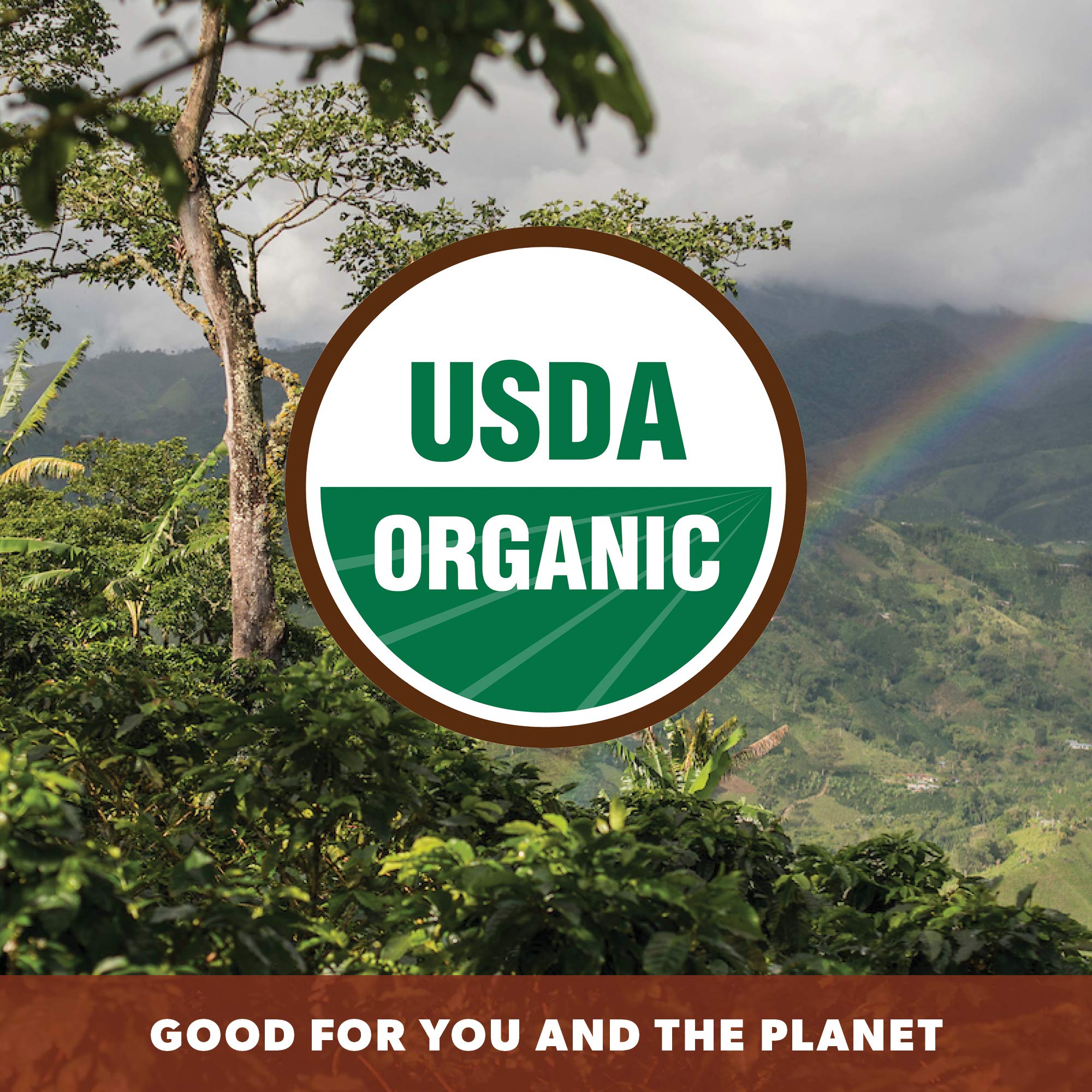 Low Acid Organic Coffee – Whole Bean, Mold-Free & Stomach Friendly by Java Planet, Coconut and Hazelnut, Medium Dark Roast, Arabica Gourmet Coffee Grade A, Smithsonian Bird Friendly, 1LB Bag